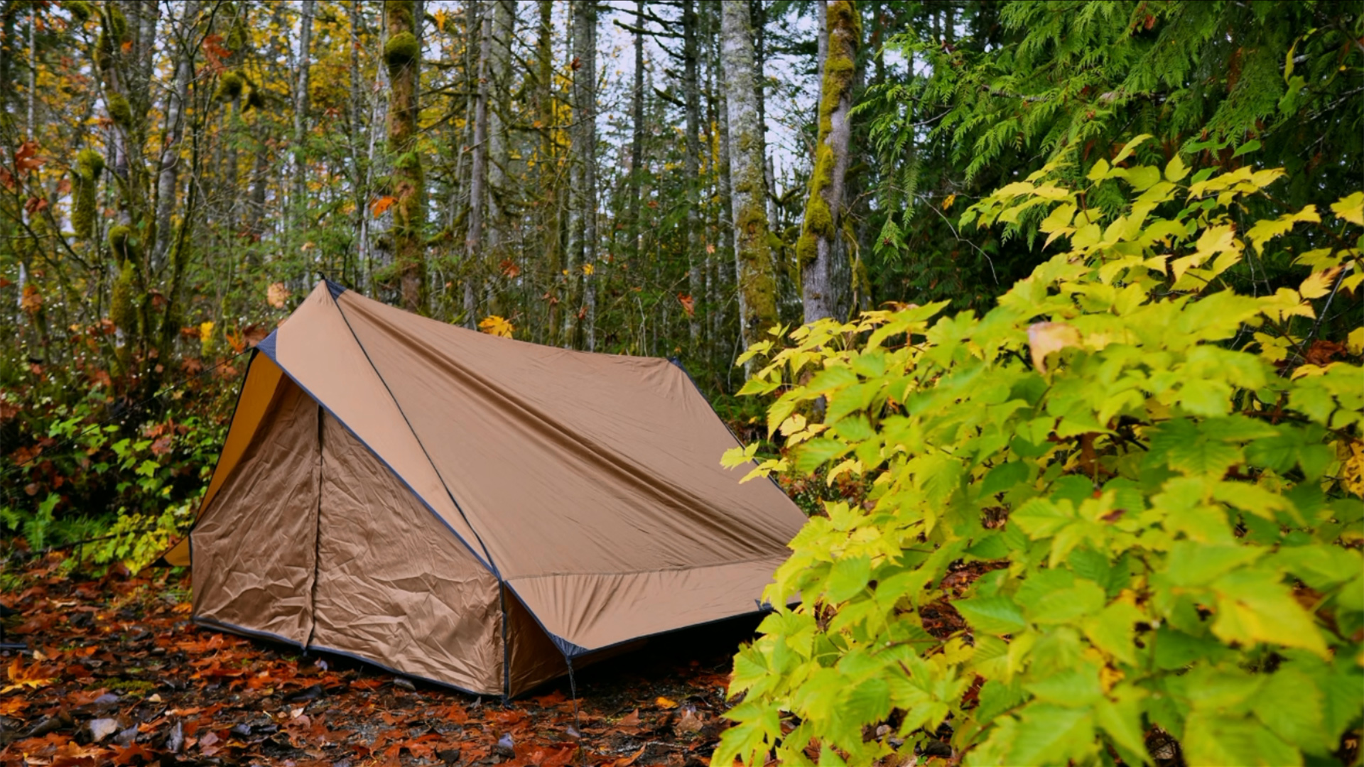 Amazon.co.jp: POMOLY CHALET 70 Pro ロッジ型テント 2人用 煙突穴付き