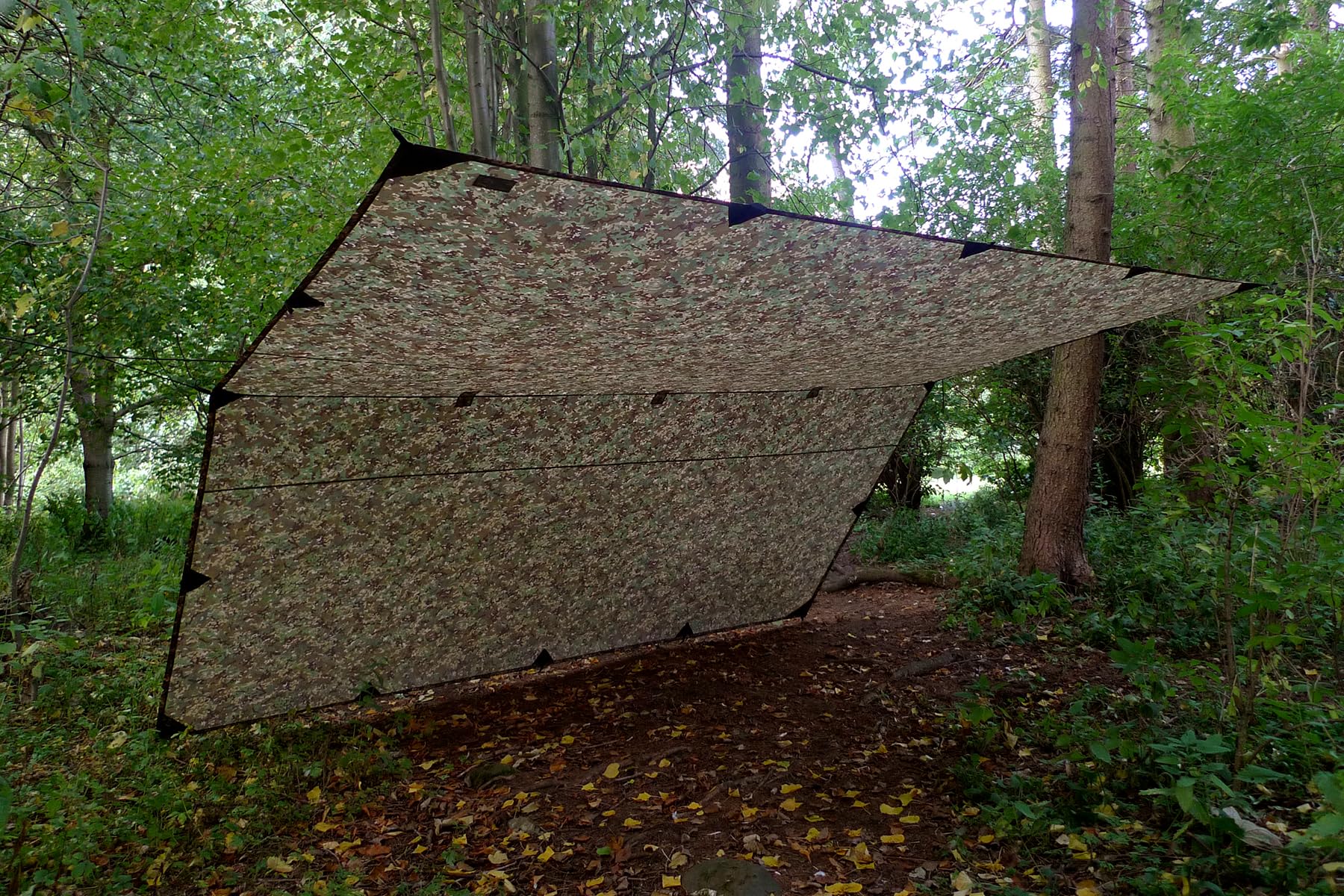 Amazon | DD Hammocks DD タープ 4x4(MC) 日本正規品 | DD Hammocks