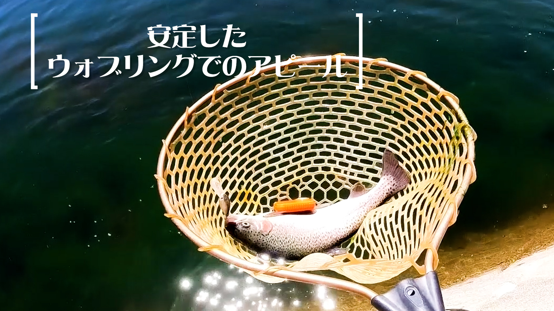 Amazon.co.jp: ラッキークラフト (LUCKY CRAFT) マグナム クラピー