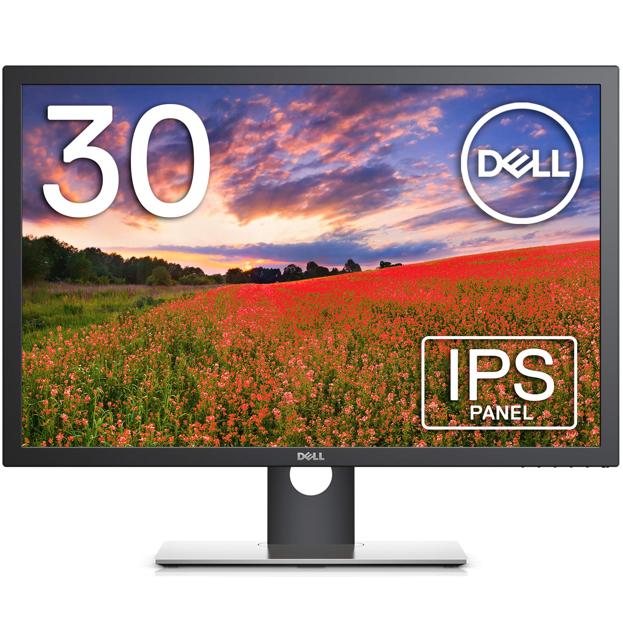 Amazon.co.jp: Dell UP3017 30インチ カラーマネジメントモニター (3