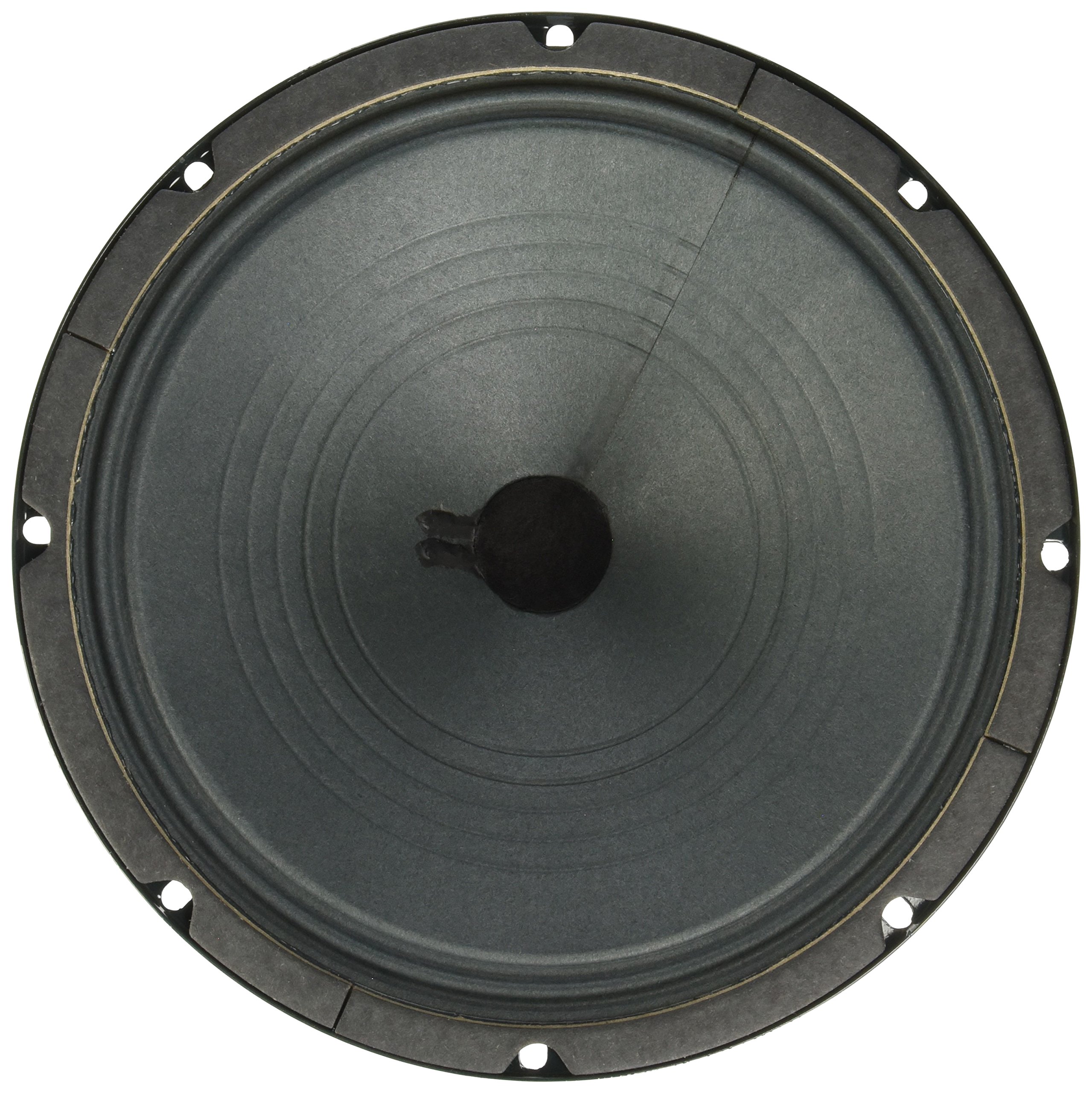 Amazon.com: Jensen Vintage P10R4 10-Inch Alnico Speaker, 4 ohm