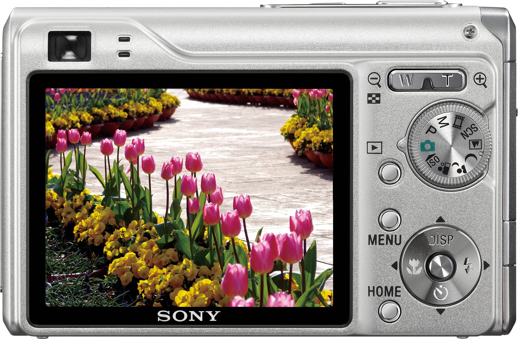 Amazon.com : Sony Cybershot DSCW200 12.1MP Digital Camera with 3x