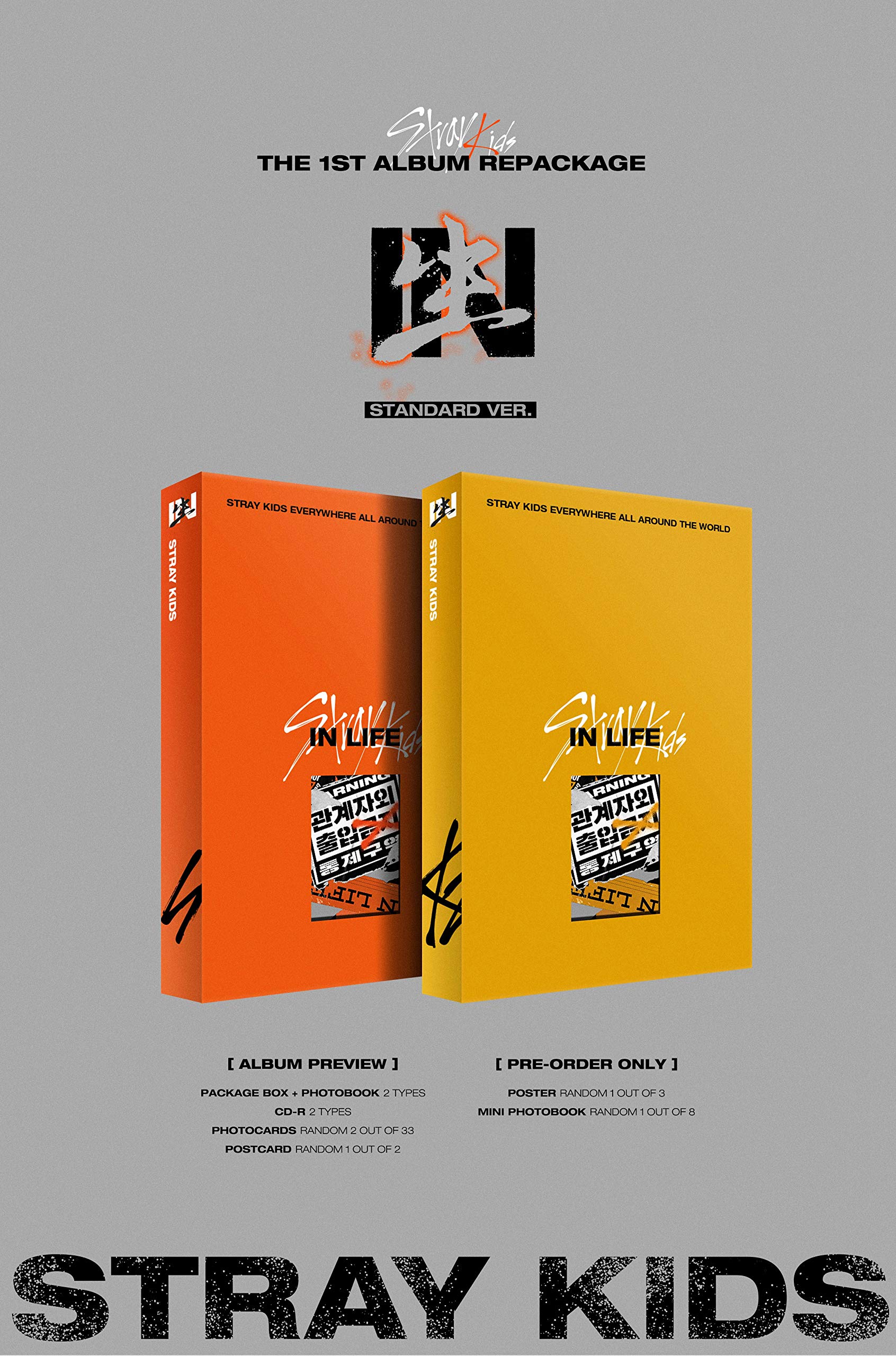 Amazon.com: STRAY KIDS - IN生 (in Life) [Standard Ver. - B Type