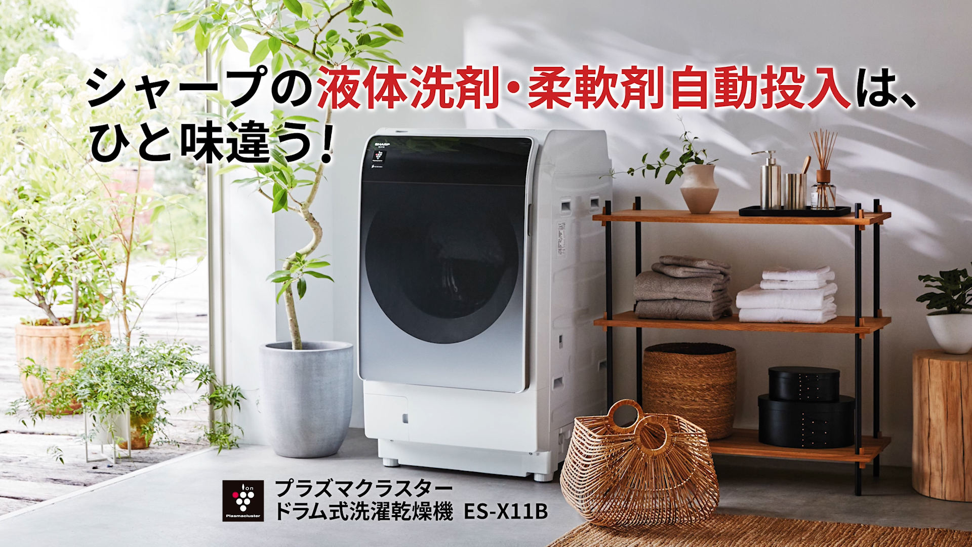 Amazon | シャープ ドラム式 洗濯乾燥機 洗濯11kg 乾燥6kg 幅59.6cm