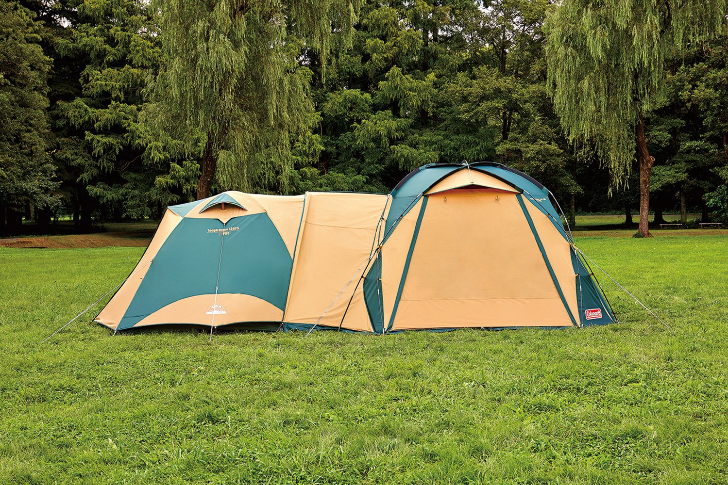 Amazon | Coleman(コールマン) タープ ドームスクリーンタープ 380