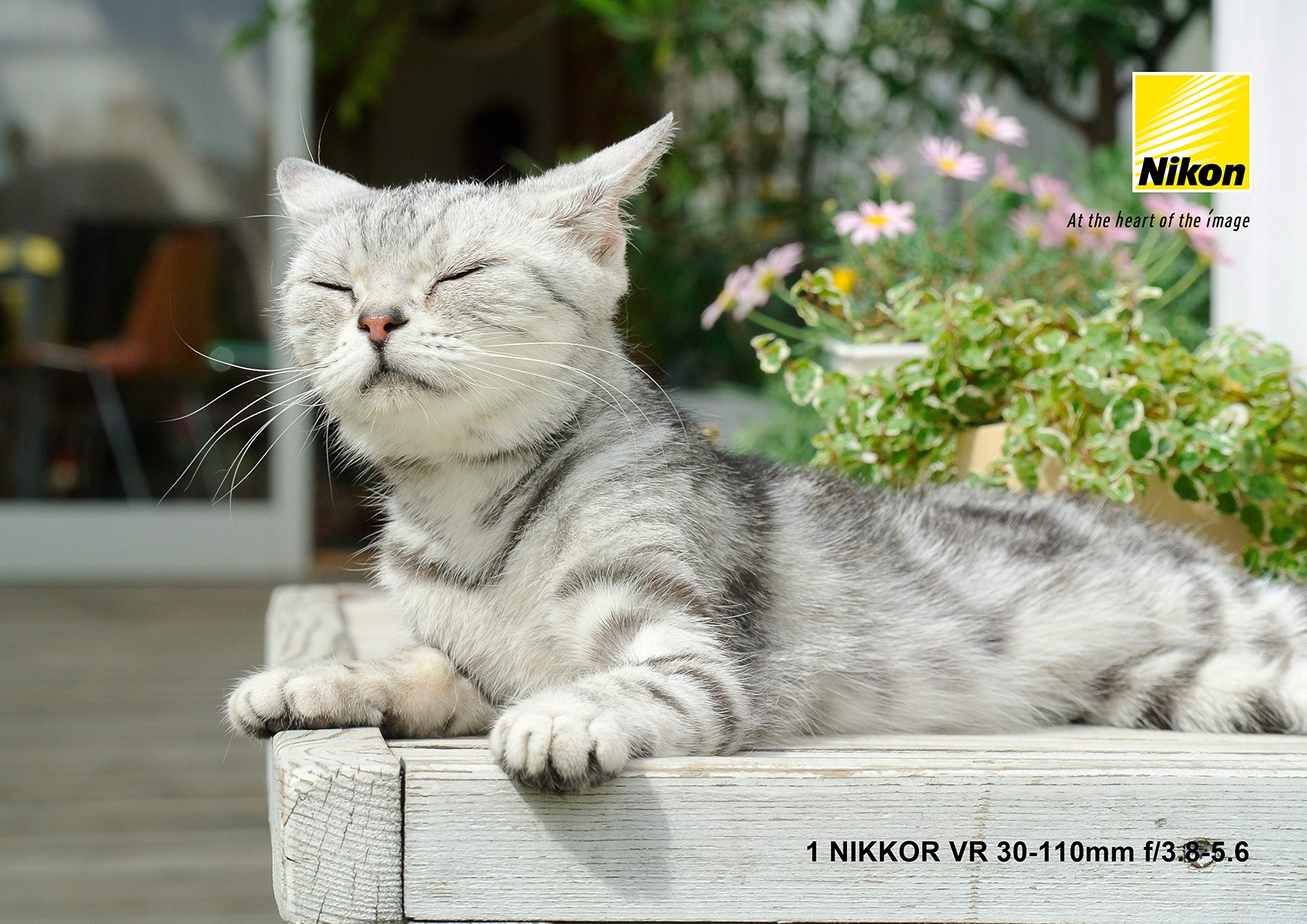 Amazon.co.jp: Nikon 望遠ズームレンズ 1 NIKKOR VR 30-110mm f/3.8