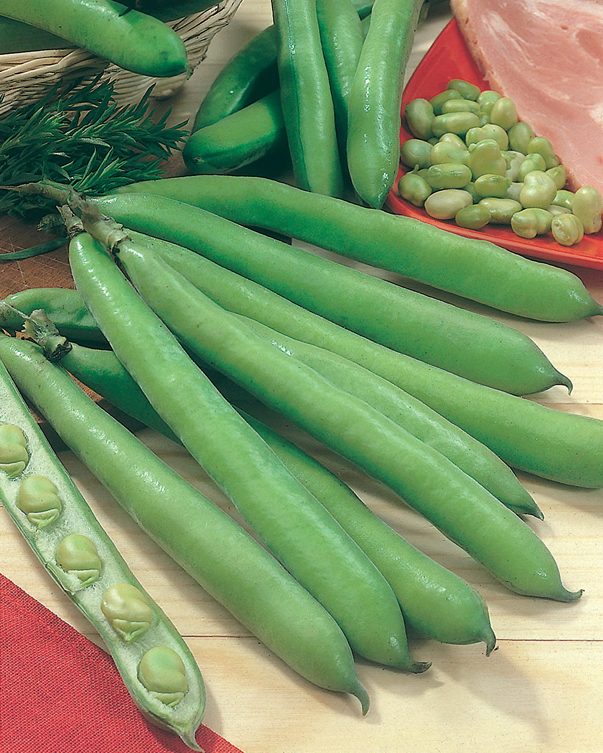 Mr Fothergill's 22397 Vegetable Seeds, Broad Bean Aguadulce