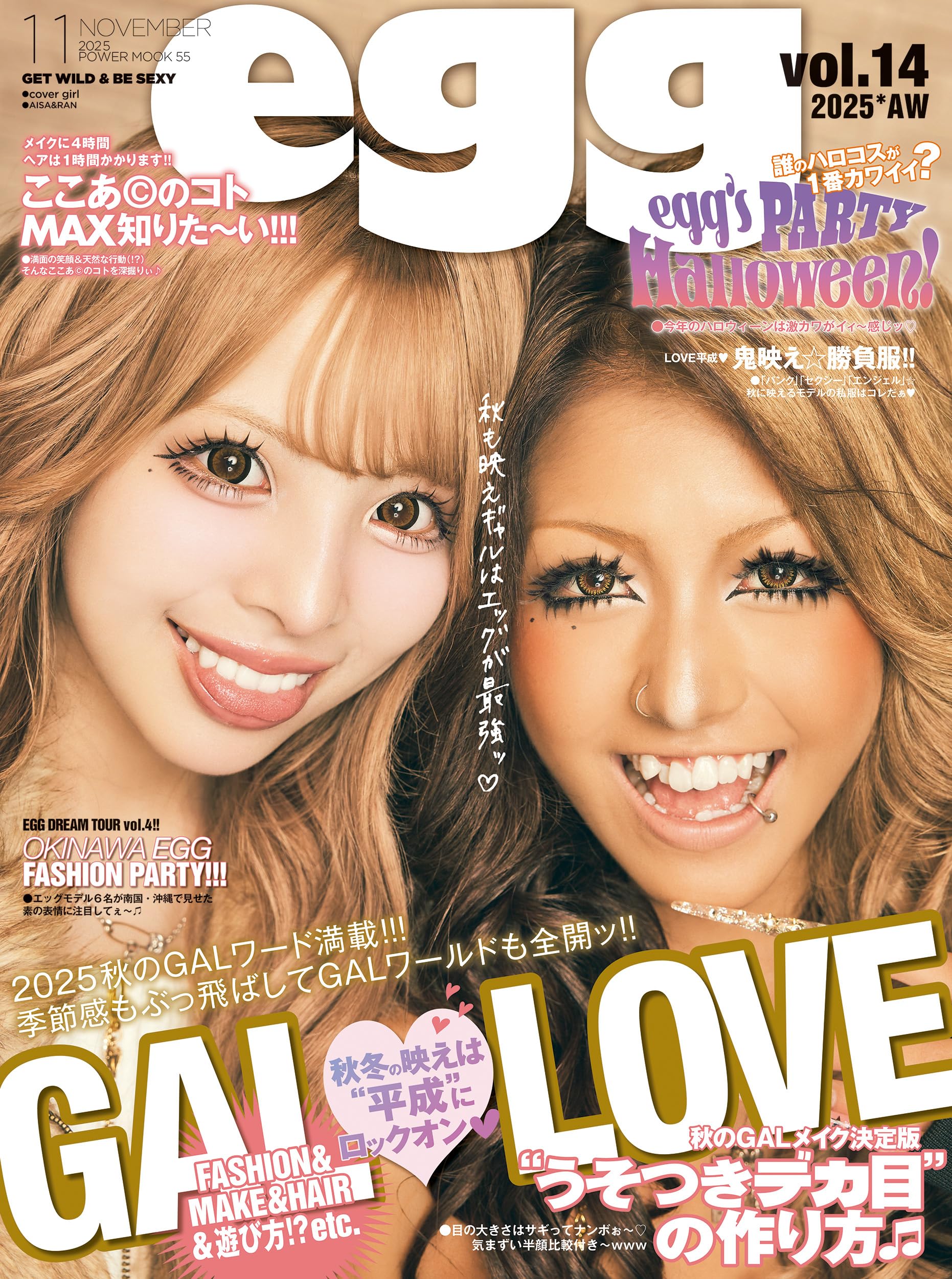 egg vol.14 (POWER MOOK) |本 | 通販 | Amazon