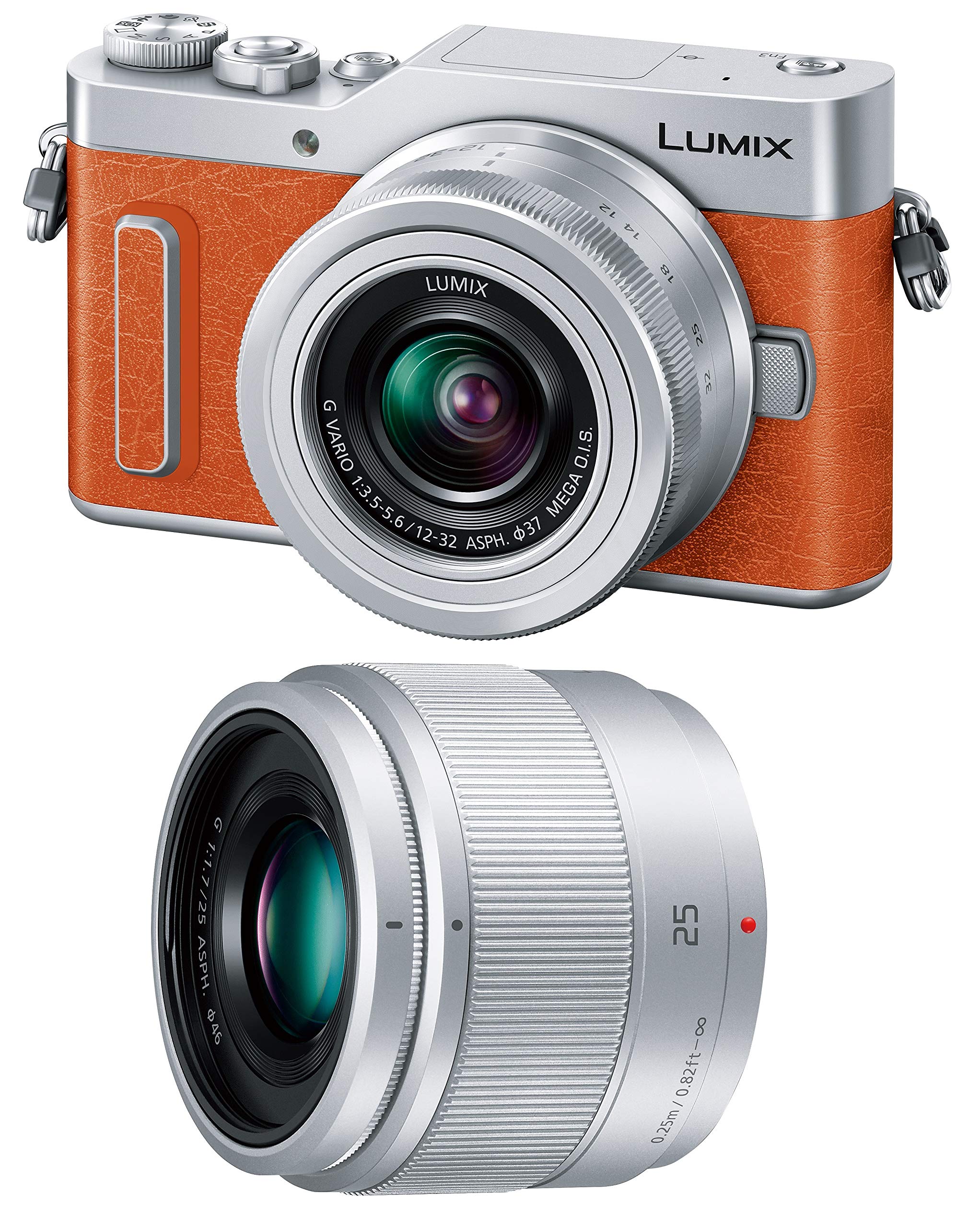 Amazon.co.jp: Panasonic Lumix GF10 Mirrorless Camera Double Lens