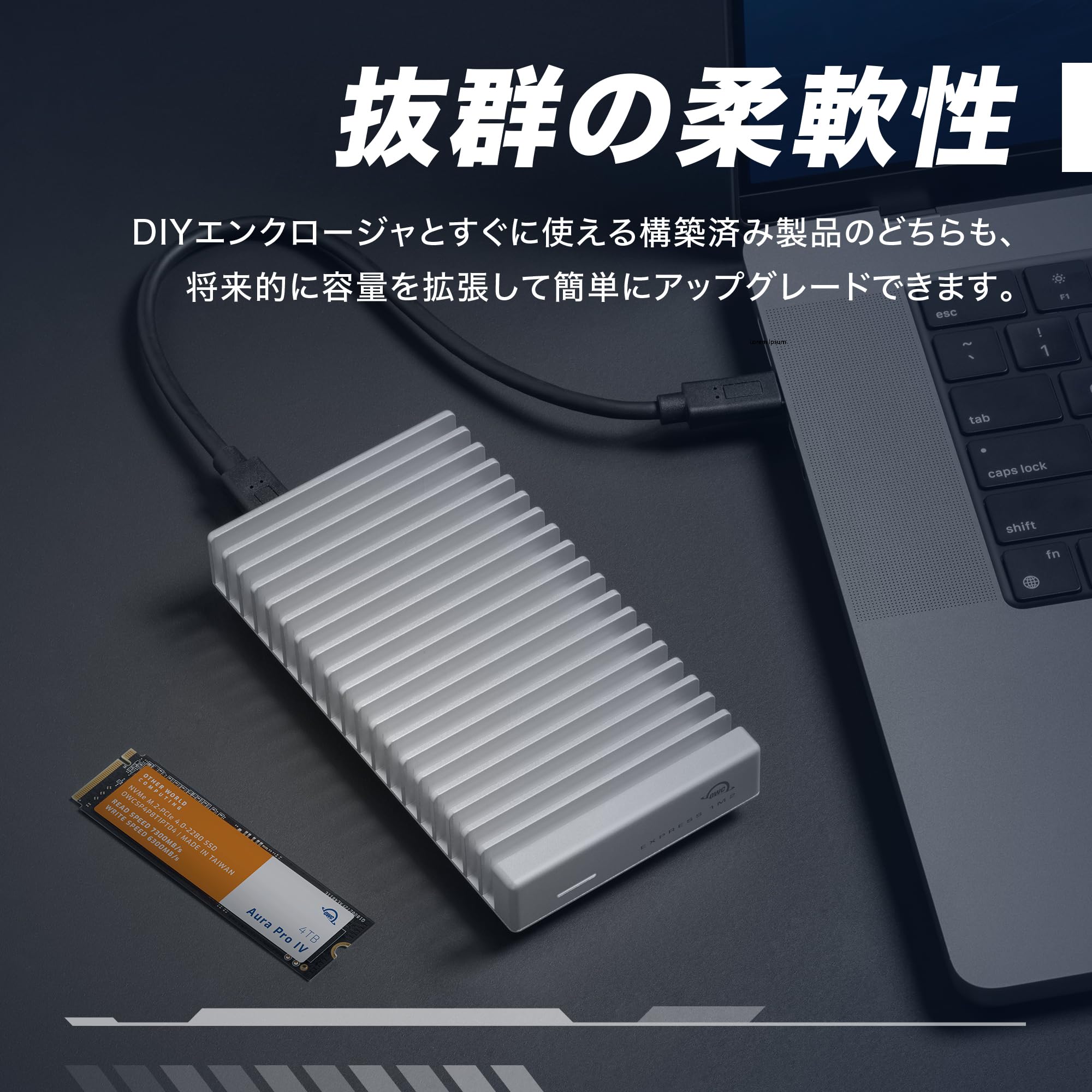 Amazon | 【OWC直営】OWC Express 1M2 80G （エキスプレス 1M2 80G