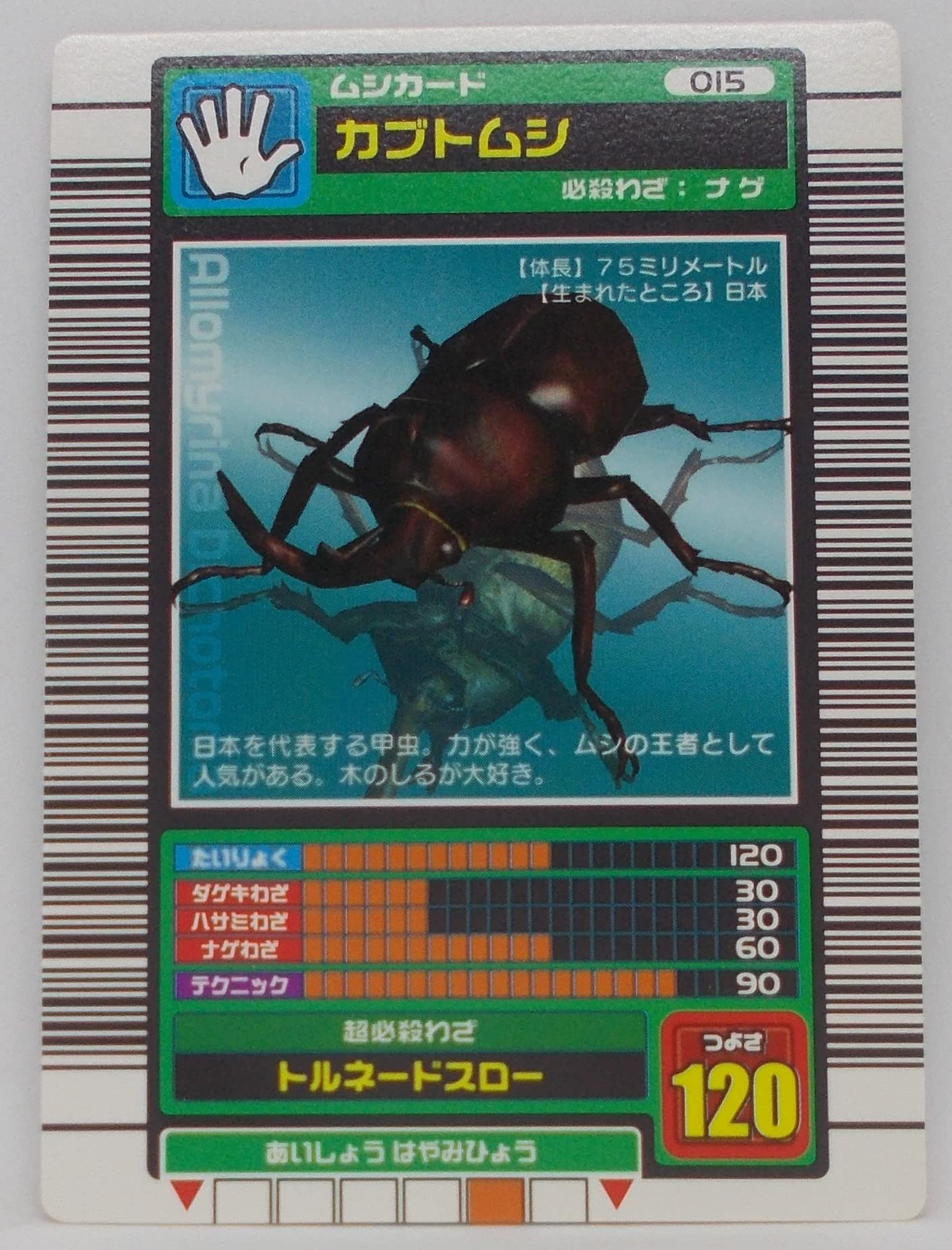 Amazon.co.jp: 【015-2003 SPRING】カブトムシ／甲虫王者 ムシキング