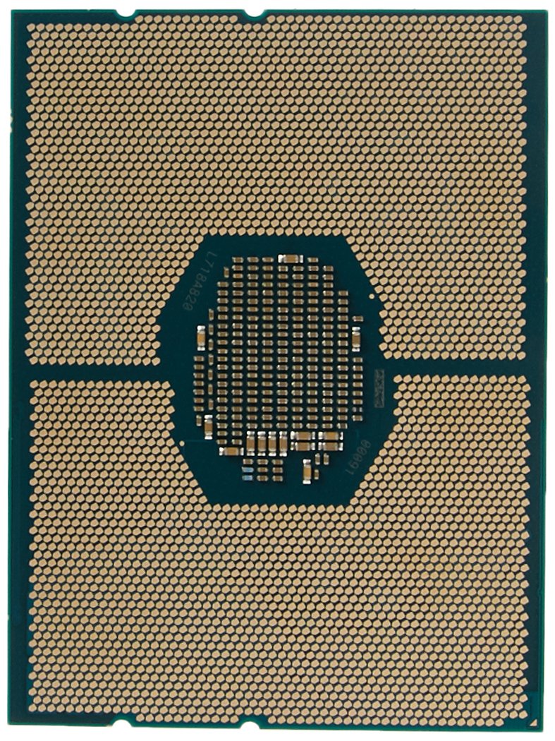 Amazon | インテルインテルXeonゴールド6138 | インテル | CPU 通販