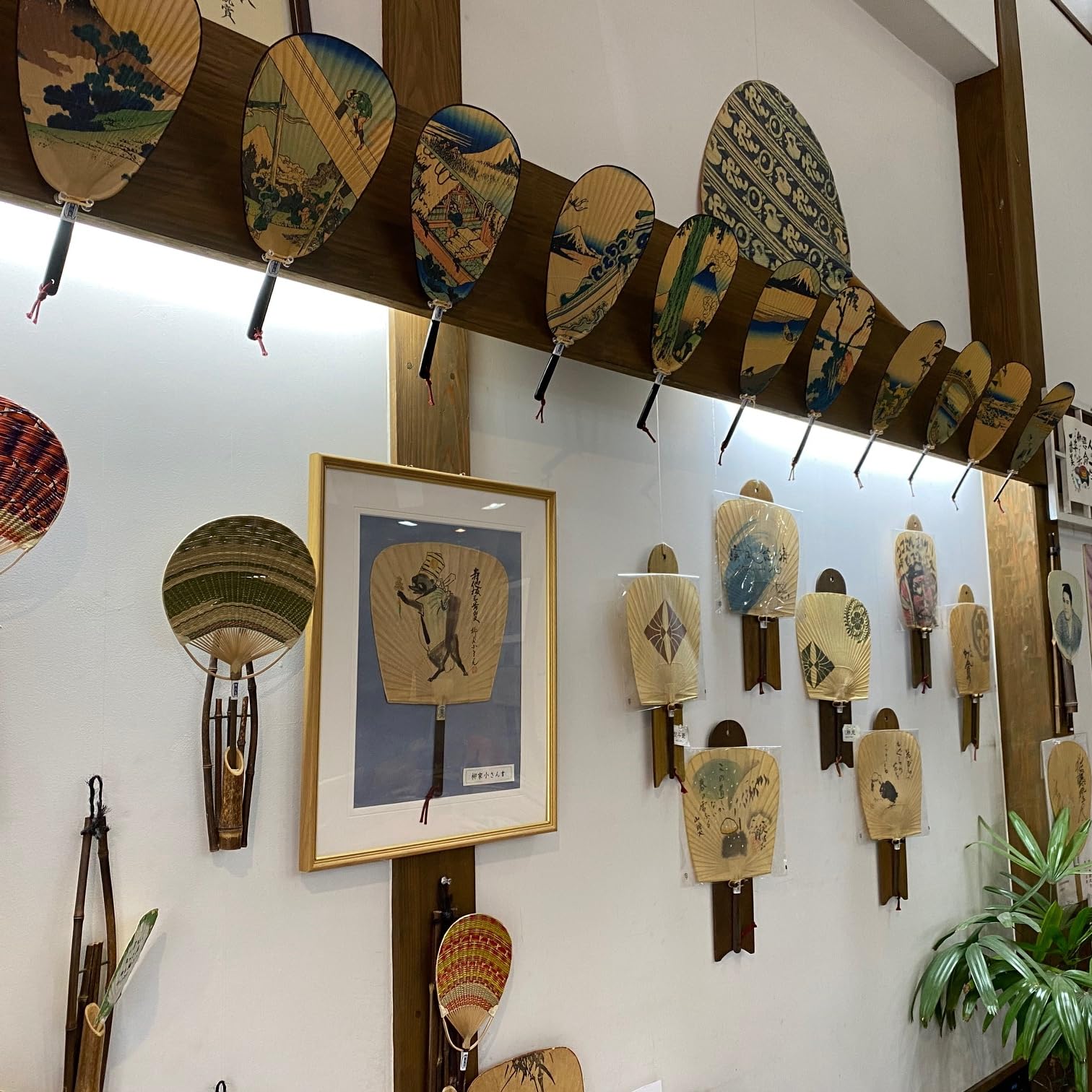 Amazon | 栗川商店 渋うちわ仙扇 柿渋 熊本伝統工芸 職人手作り サイズ