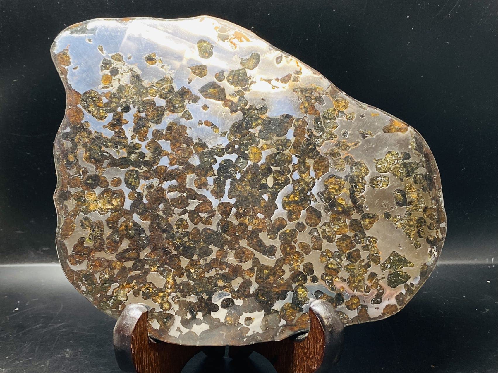 Amazon.co.jp: 【鑑別書付き】 パラサイト隕石 231.5g 男女兼用 隕石