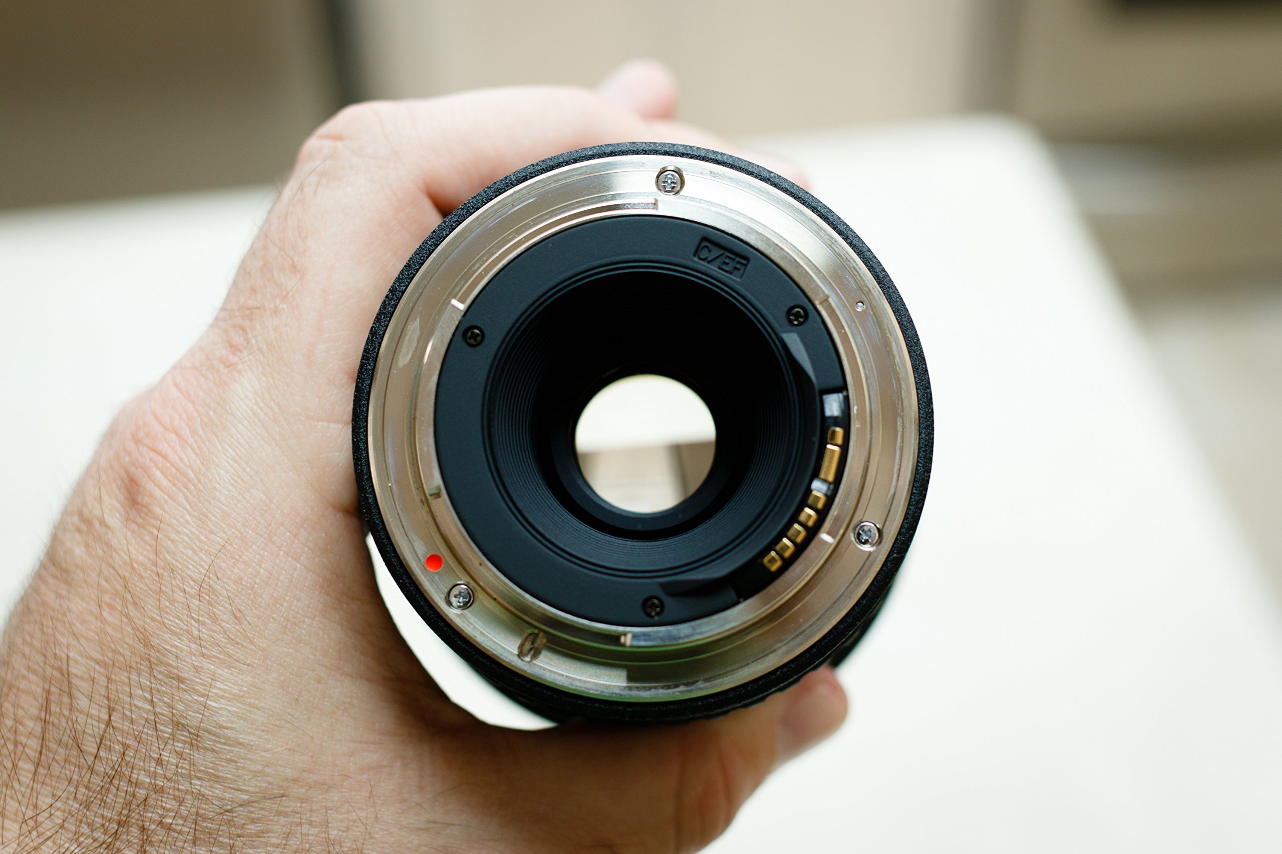 Amazon | Tokina 超広角ズームレンズ AT-X 124 PRO DX 12-24mm F4 (IS