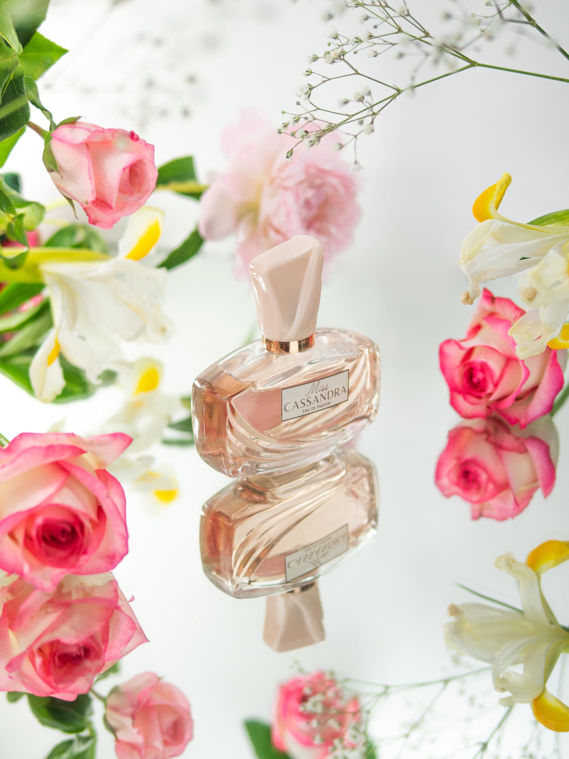 Amazon.co.jp: JEANNE ARTHES(ジャンヌ・アルテス) ジャンヌアルテス