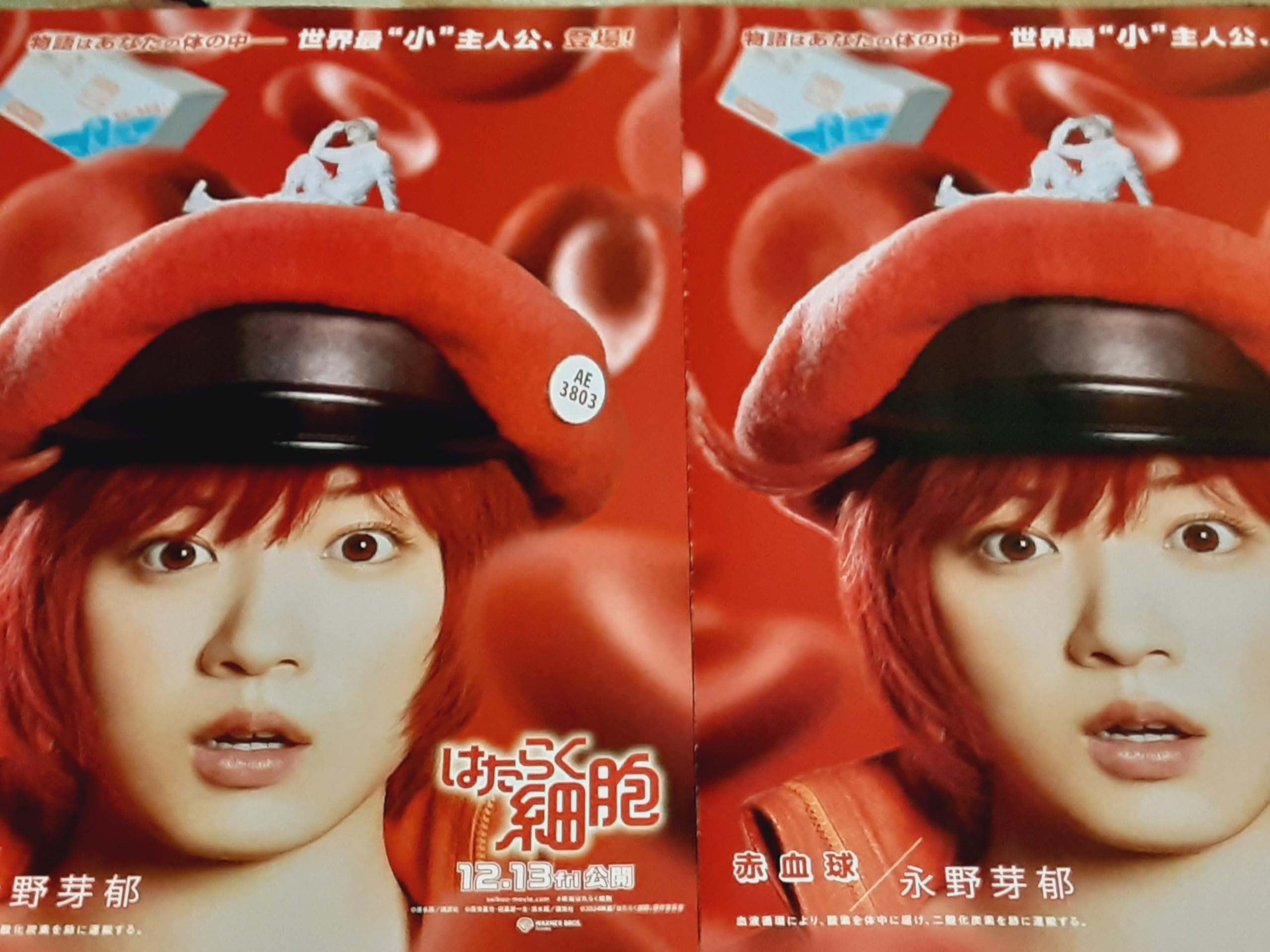 Amazon.co.jp: 映画「はたらく細胞」二つ折チラシ2枚セット 永野芽郁