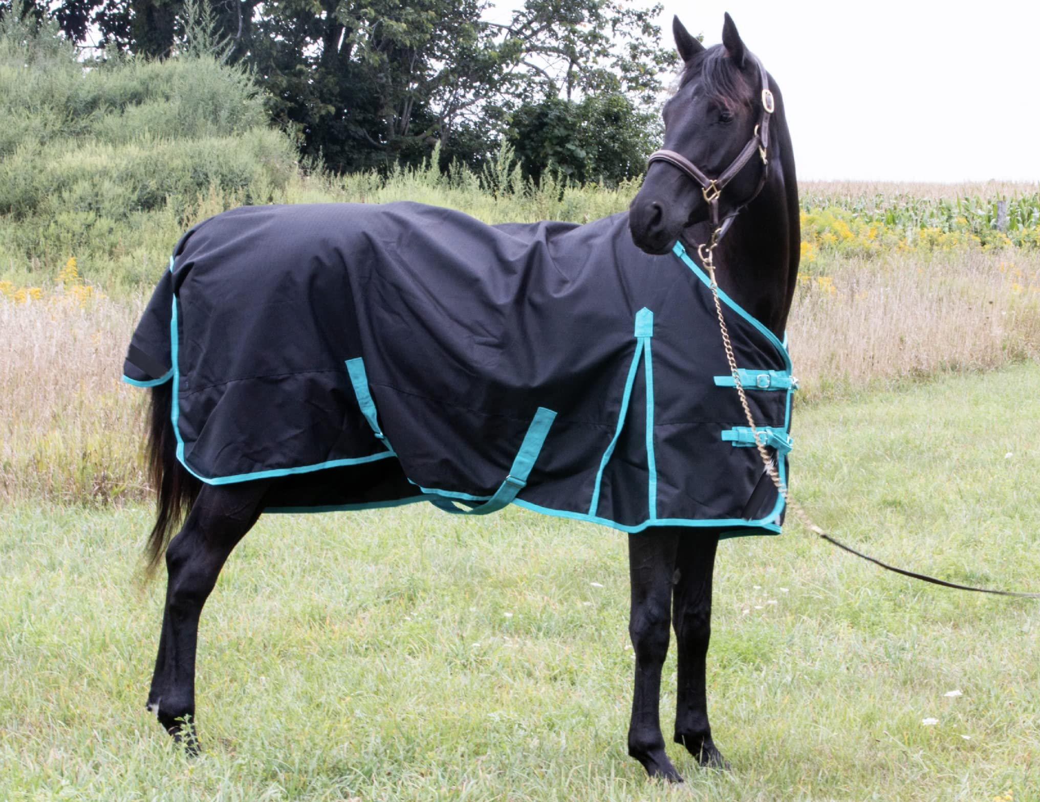 TECH EQUESTRIAN Winter Horse Blanket - 300GSM 600 Denier