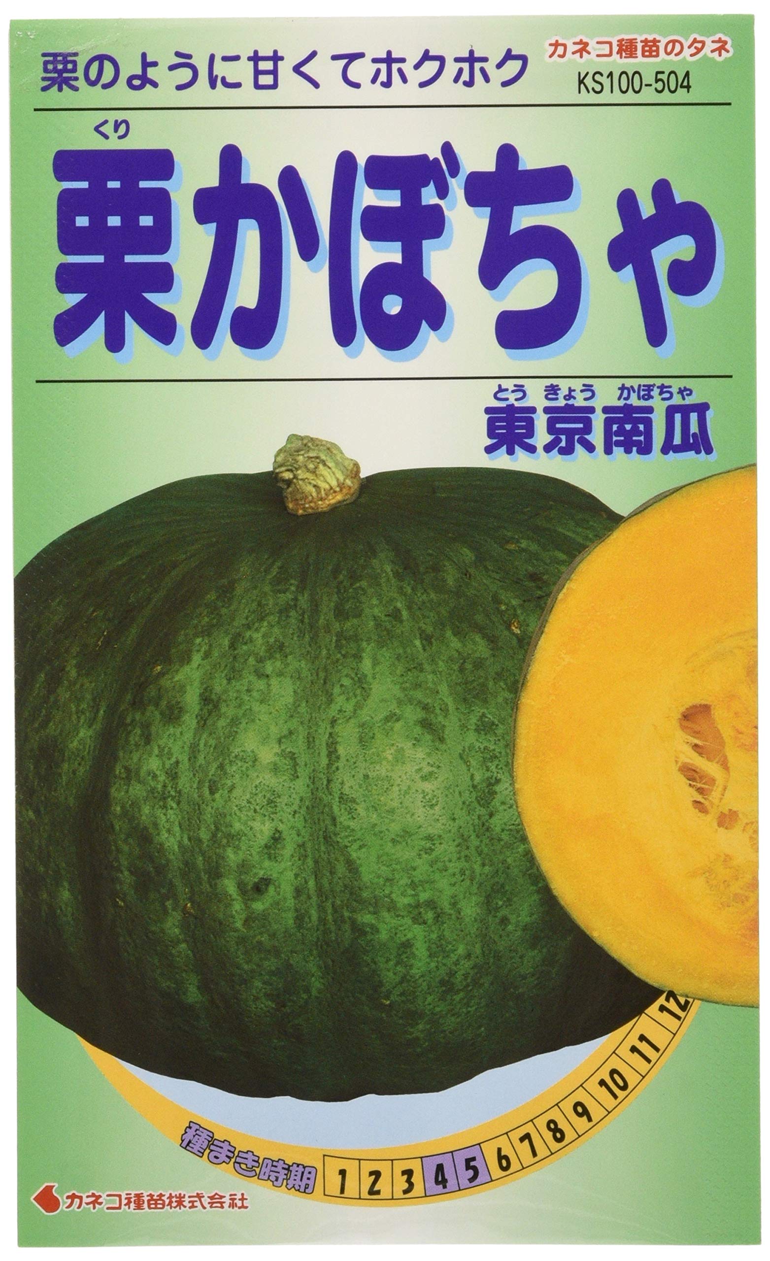 Amazon | カネコ種苗 園芸・種 KS100シリーズ 栗かぼちゃ 東京南瓜
