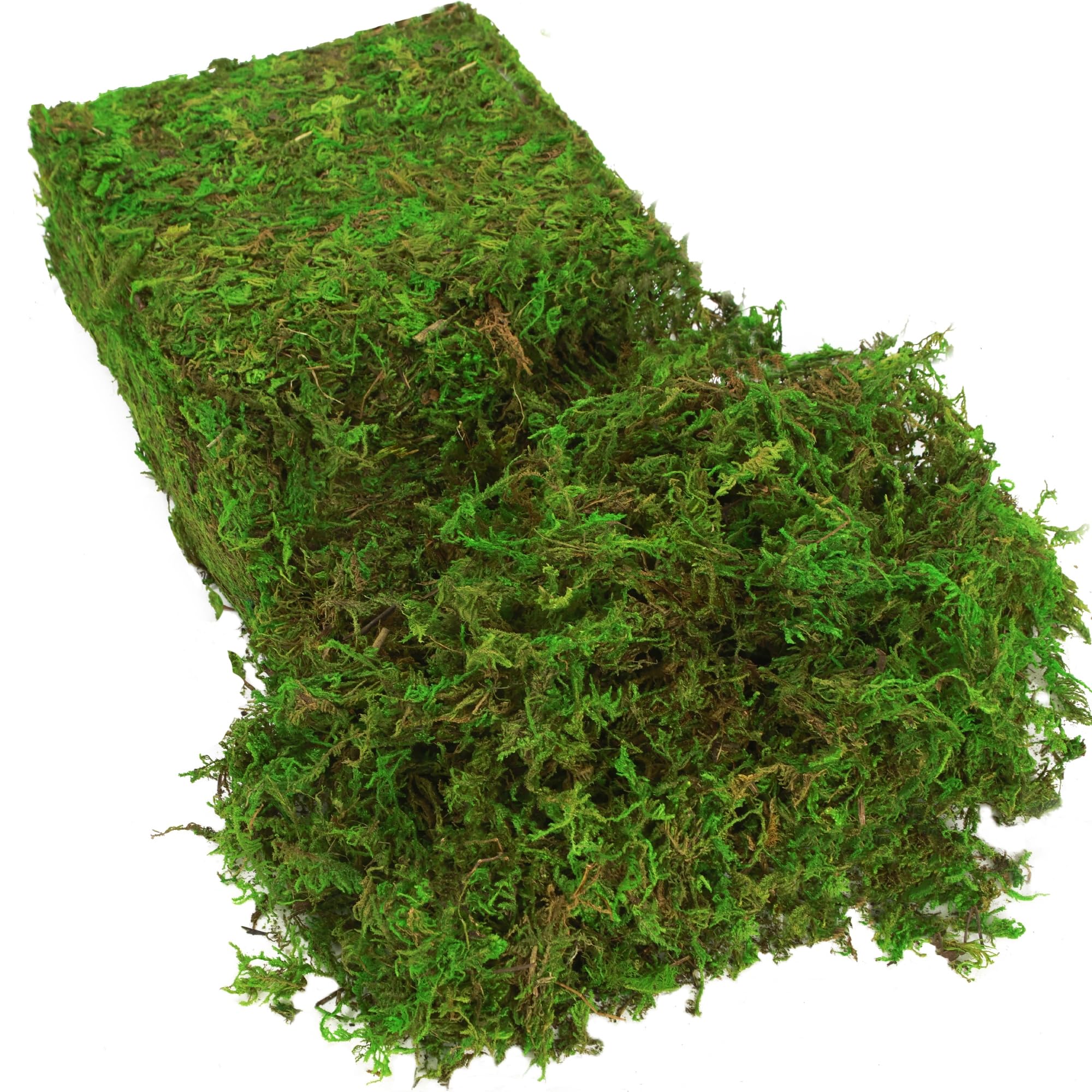 Amazon.com: BYHER Fake Moss for Plants Indoor, 16OZ Green Moss for