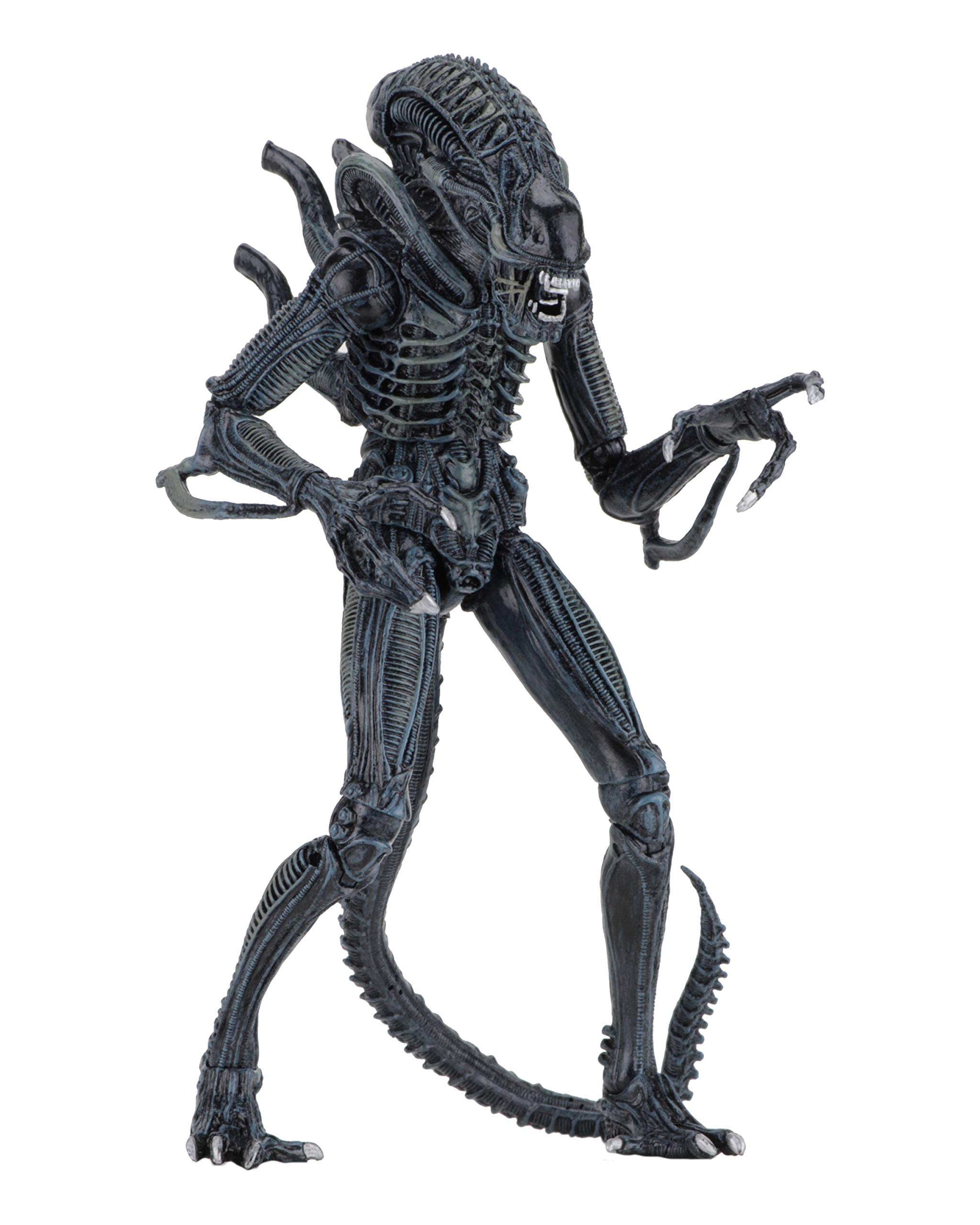 Amazon.com: NECA - Alien- 7
