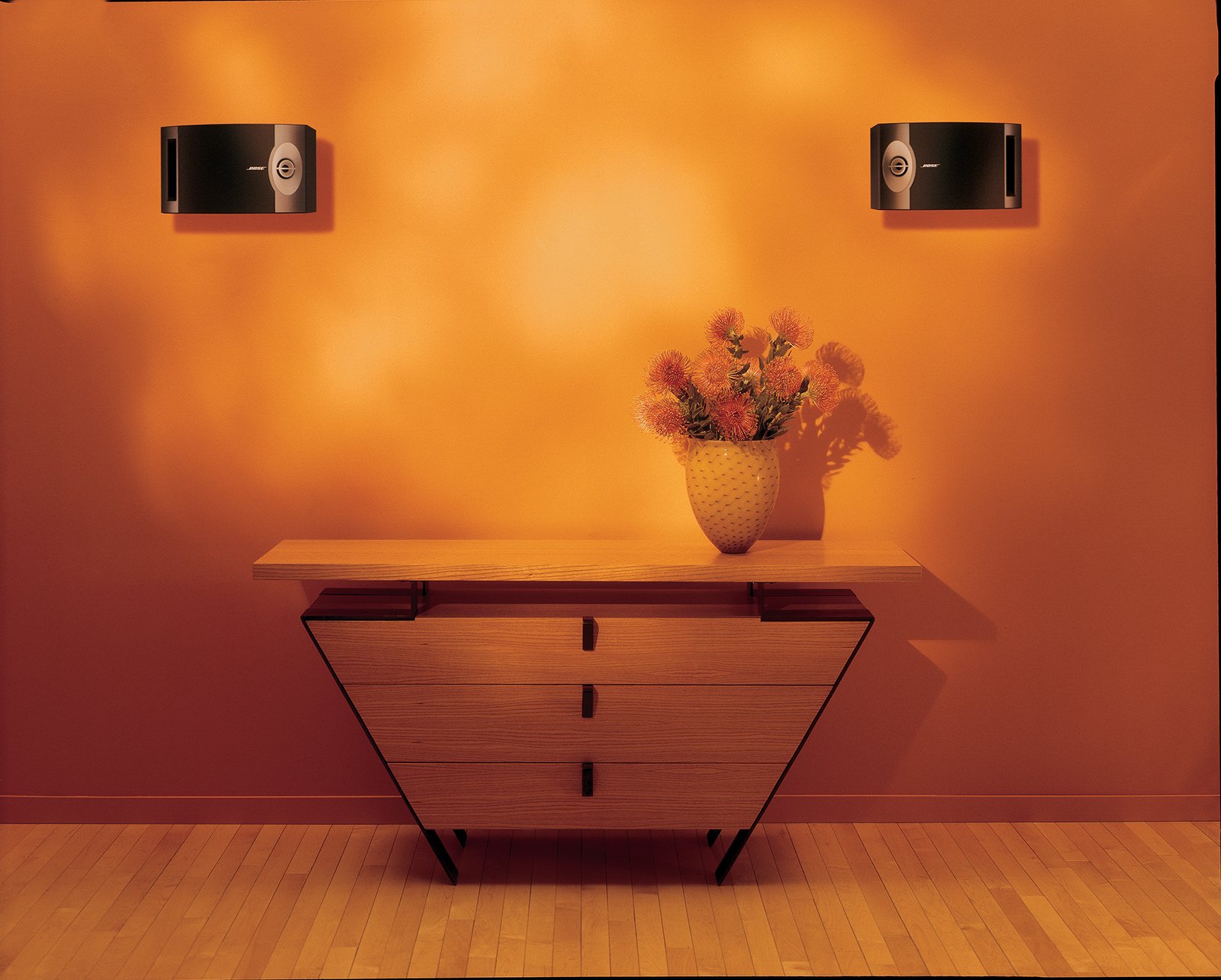 Amazon.com: Bose 201-V Stereo Loudspeakers (Pair) - Black