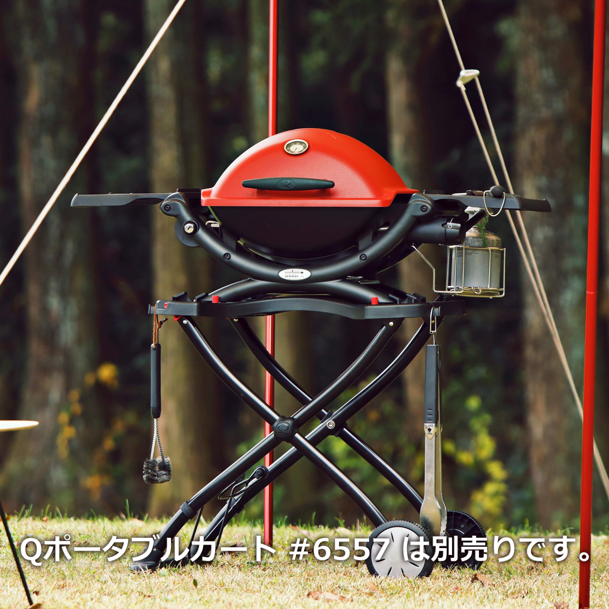 Amazon | ウェーバー(Weber) 卓上 キャンプ グリル キャンプQ Q1250