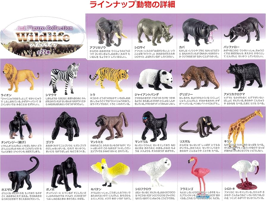 81gHj8O5X6S._AC_UF894,