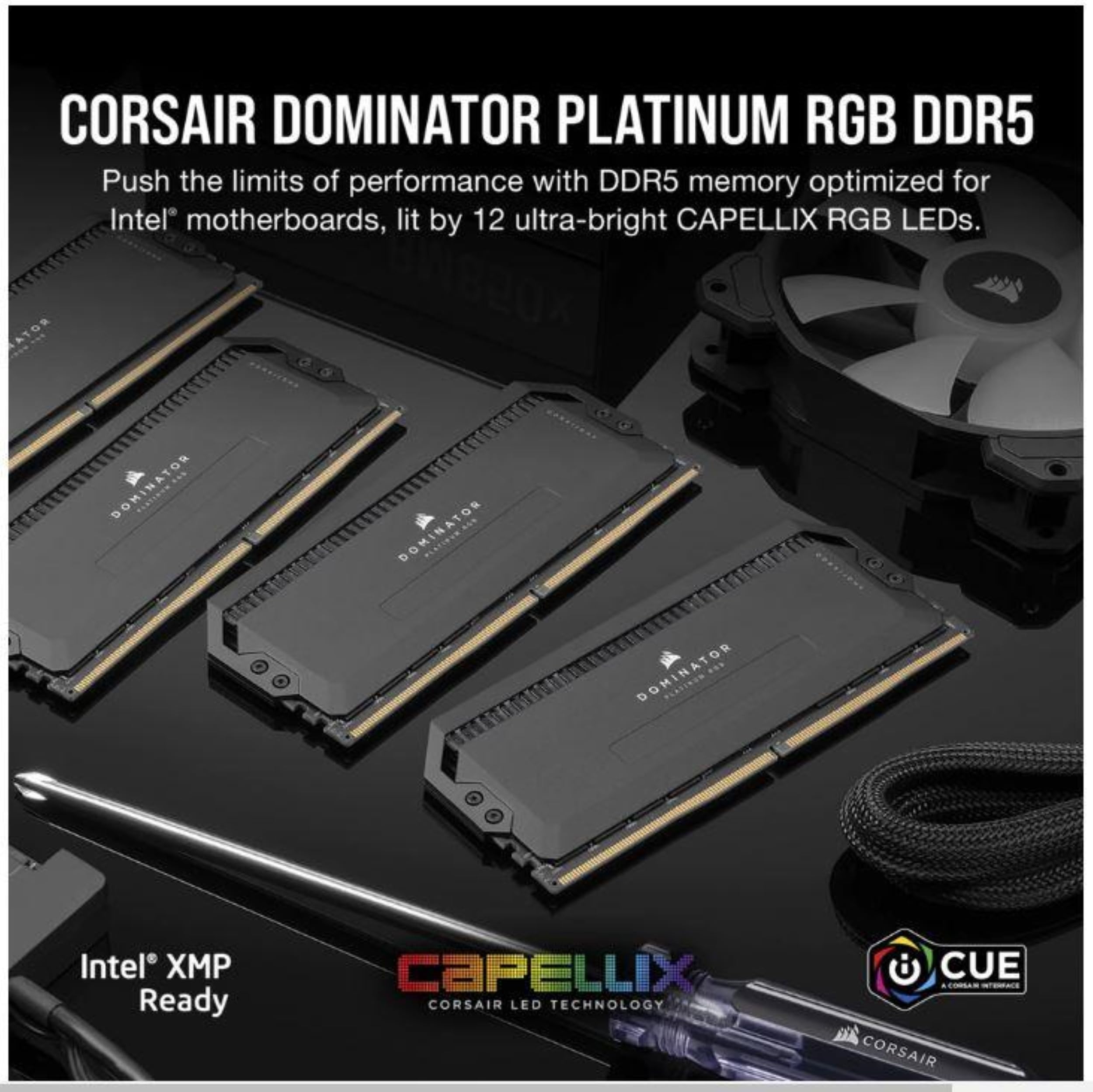 Amazon | CORSAIR DDR5-5200MHz デスクトップPC用 メモリ DOMINATOR