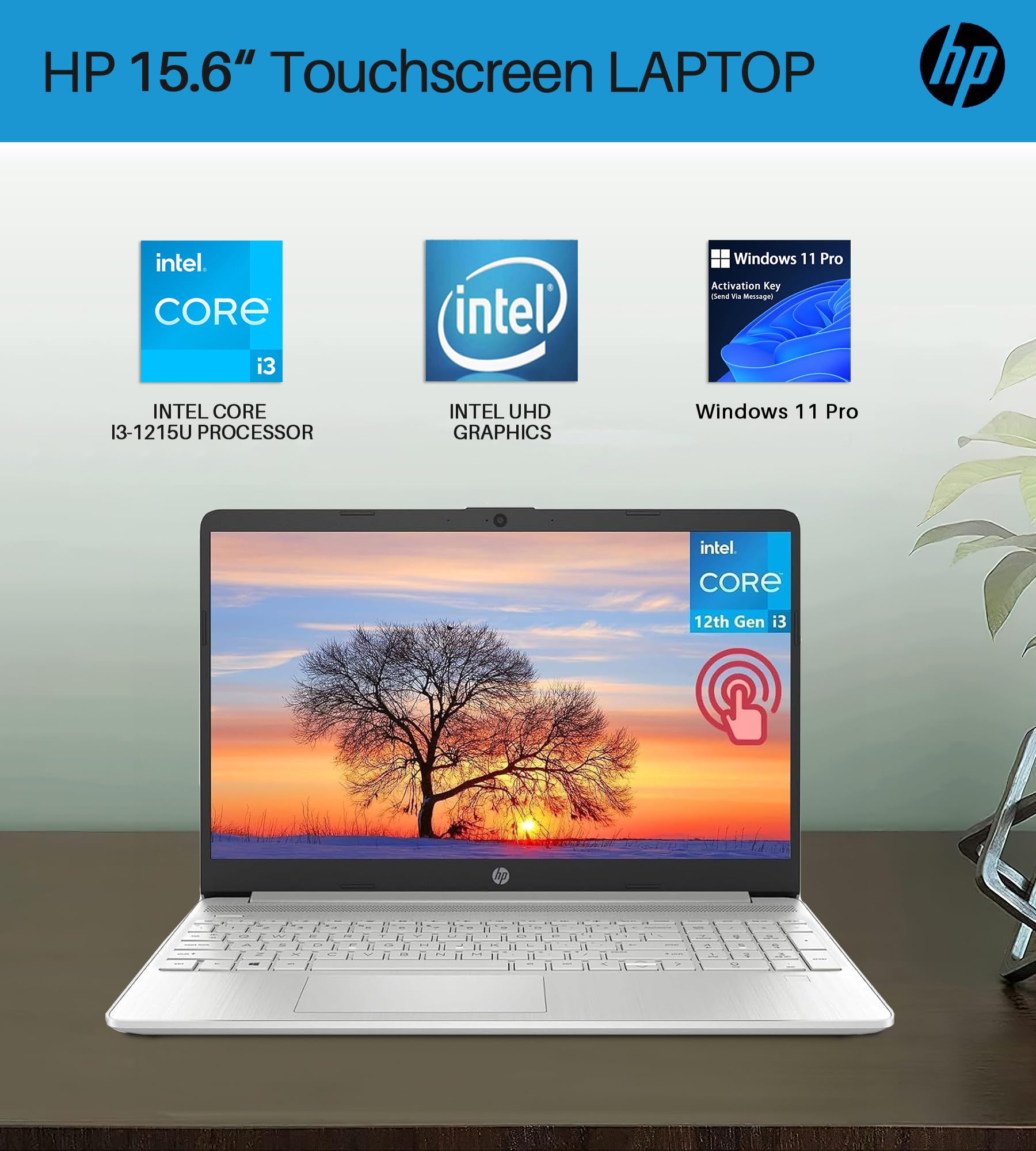 Amazon.com: HP 2024 15.6