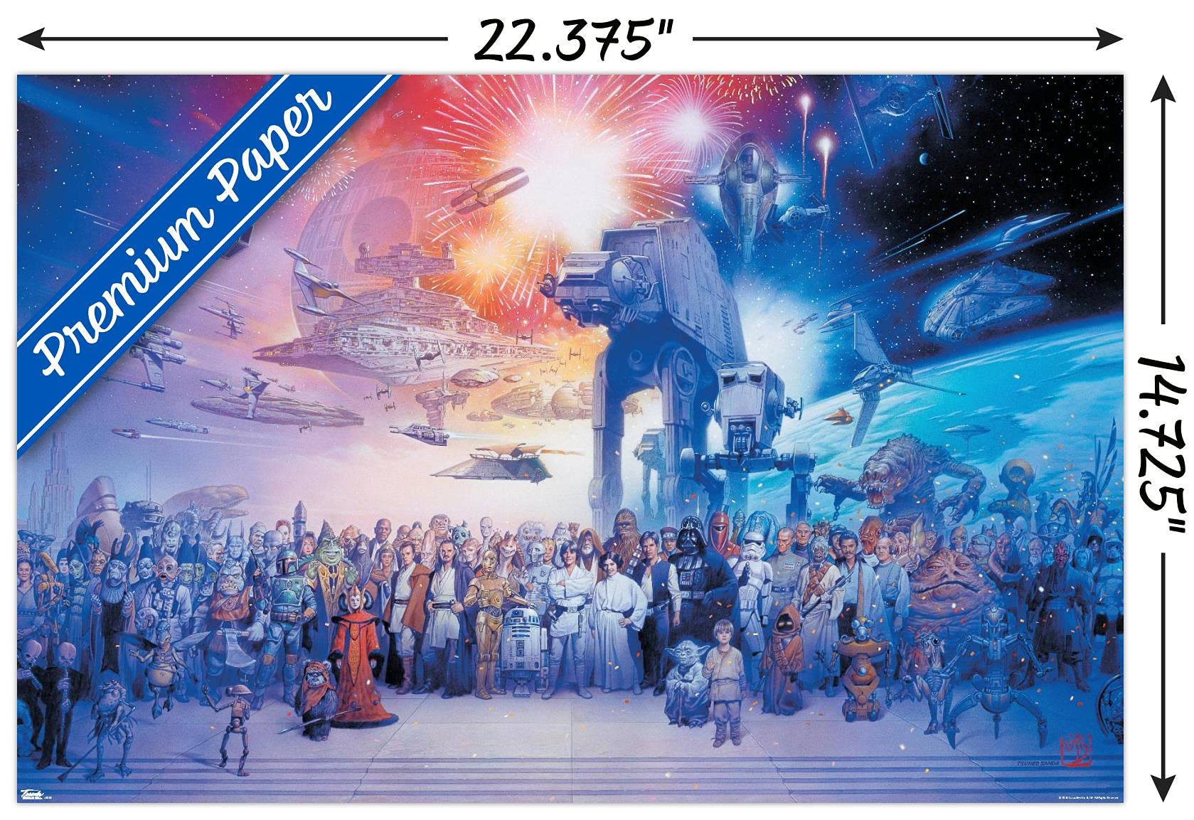 Amazon.com: Star Wars: Saga - Galaxy Wall Poster, 22.4L