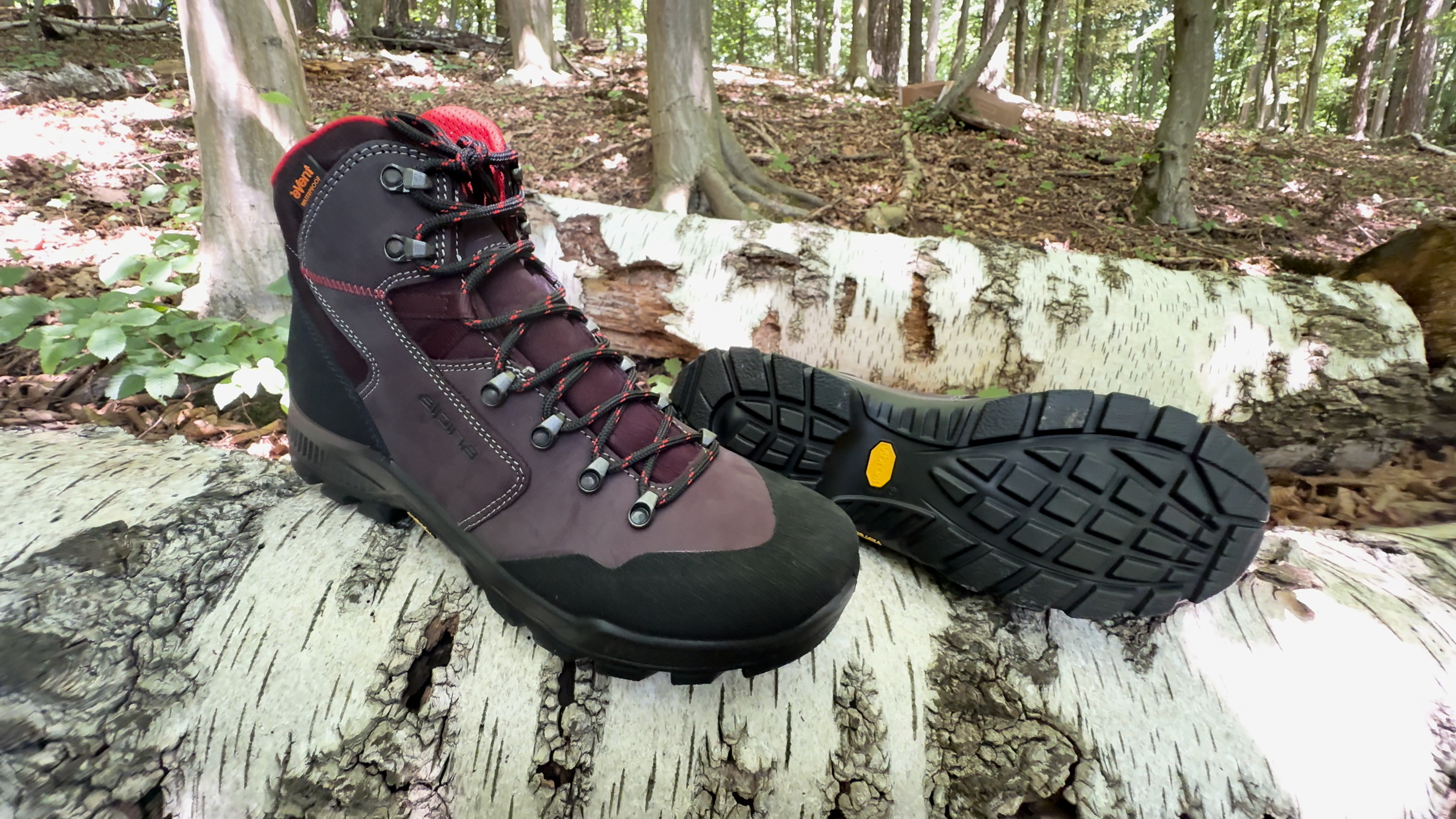 Amazon.com | Alpina HELIOS Premium Men's Hiking Boots Ankle High