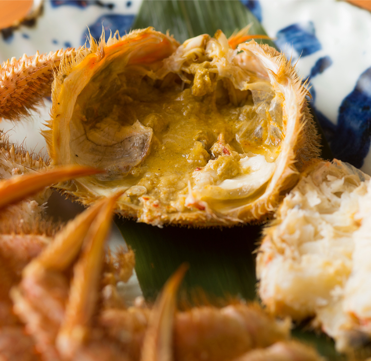 カツミ製 カニ22を【カニ25】に屋根改造 カツミ製 カニ22を【カニ25】に屋根改造