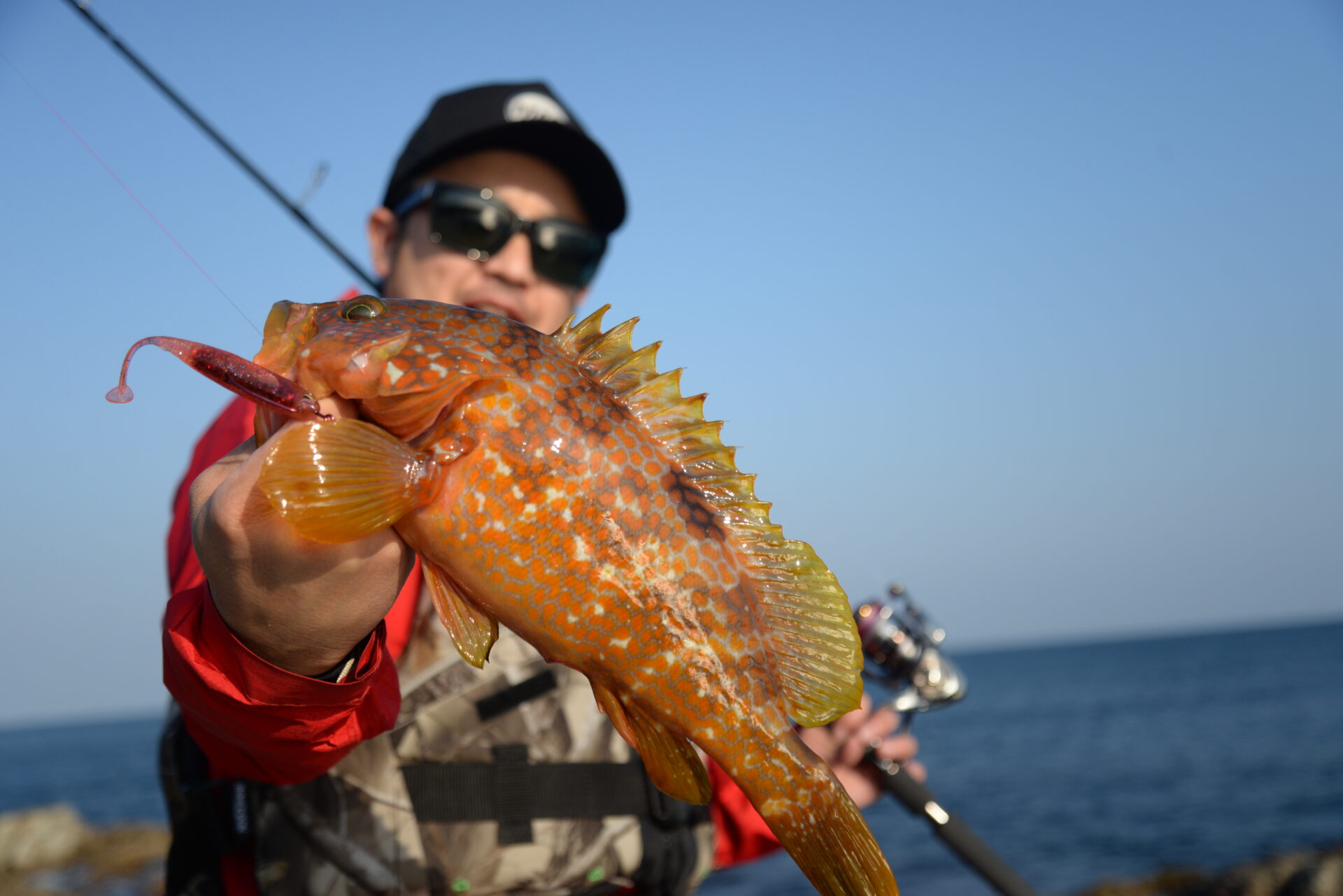 スナッチバイトシャッド 3inch | ソルトルアーブランド【MAGBITE】