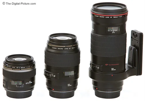 Canon EF-S 60mm f/2.8 Macro USM Lens Review