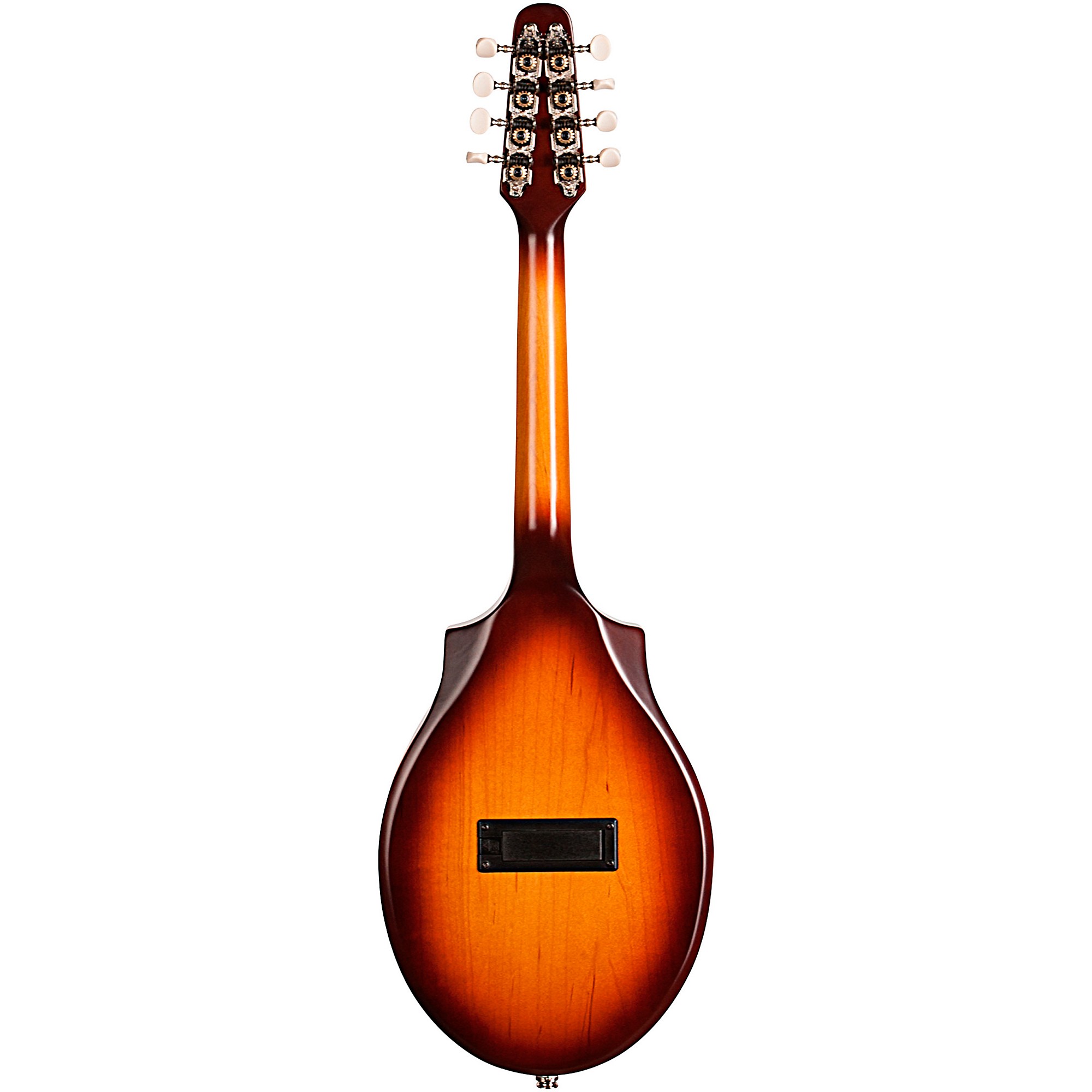 Seagull S8 Mandolin | Music & Arts