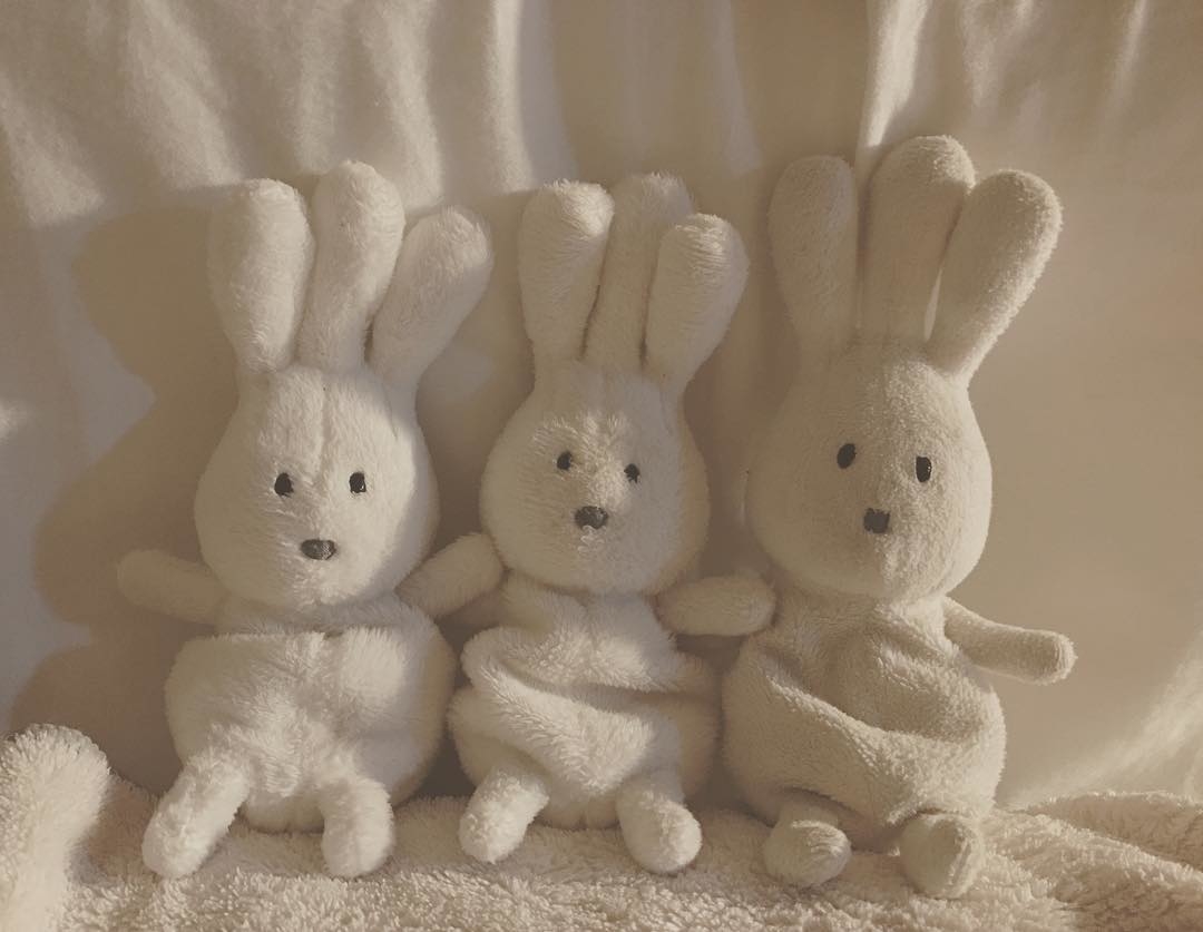 ゆるっと可愛い絵本の世界。インスタ映えにもひょっこり登場『おじぎ