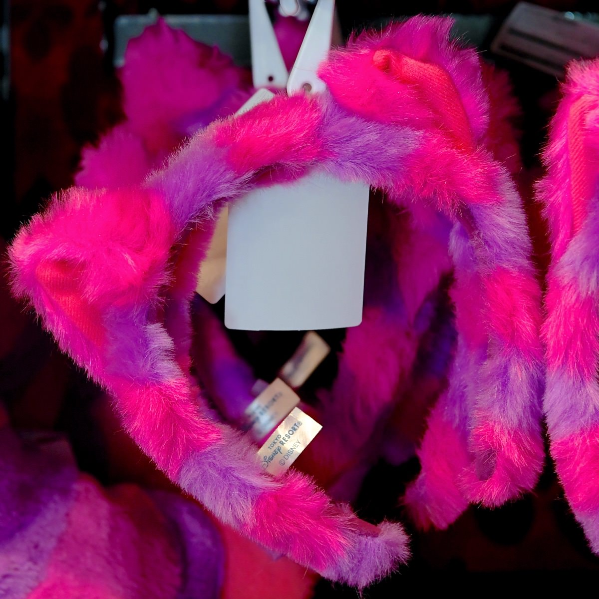 かわいく目立てる☆東京ディズニーランド