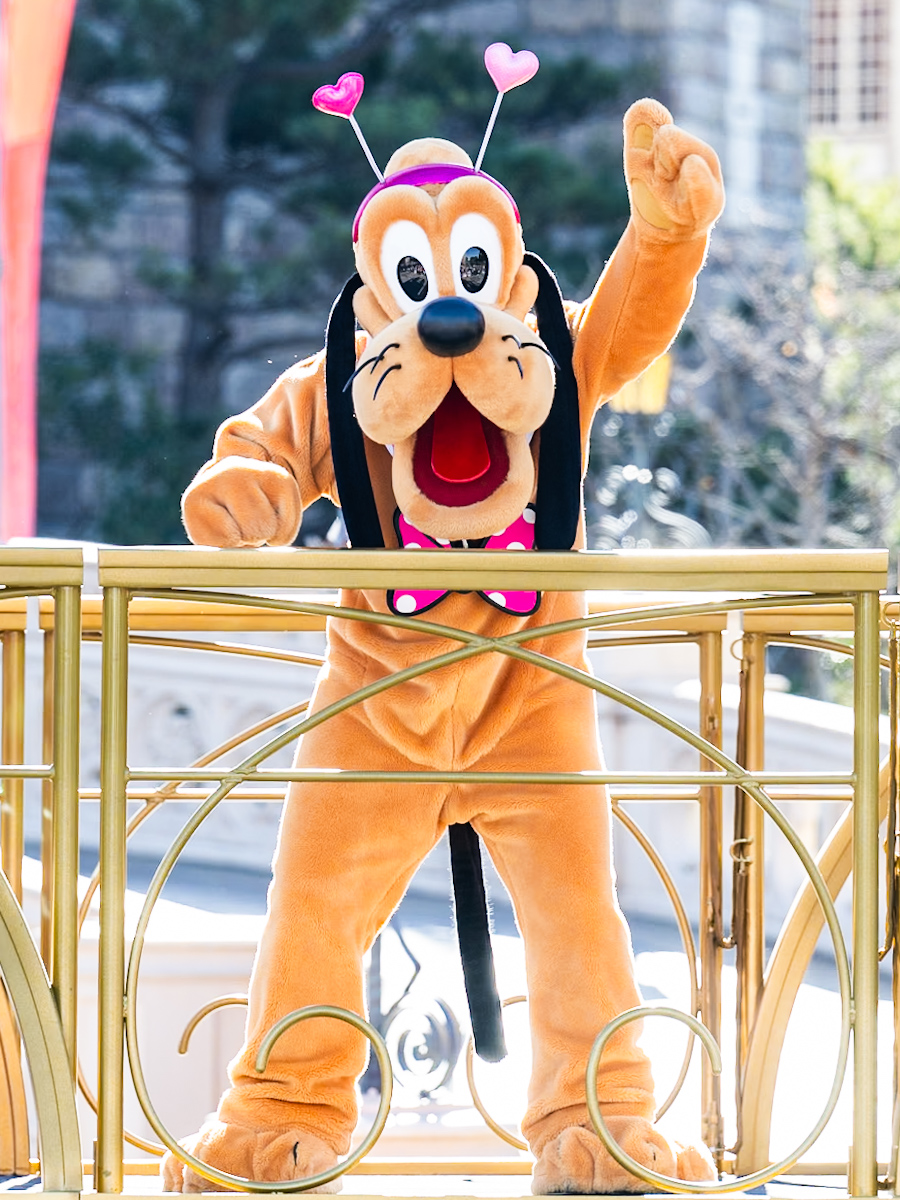 ミニー@ファンダーランド！東京ディズニーランド「ディズニー