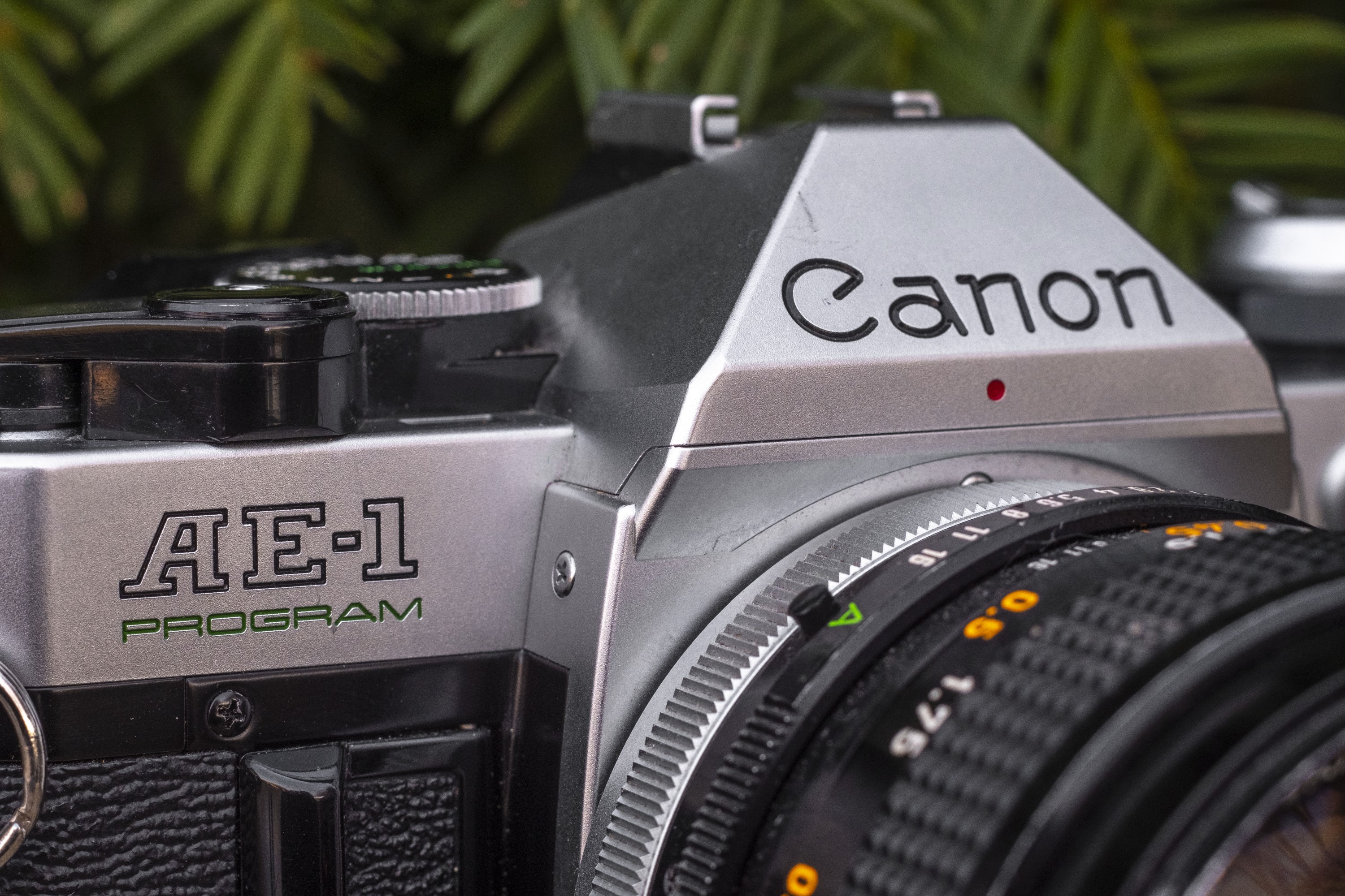 Student Camera Showdown: Canon AE-1 Program vs Pentax K1000 – mike