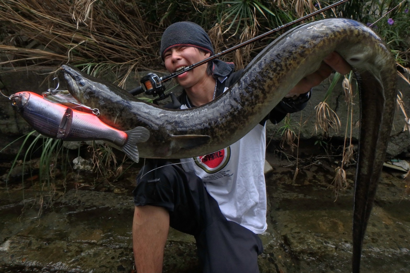 HUNTERS HT-7/8（第一世代） - Monster Kiss モンスターキス