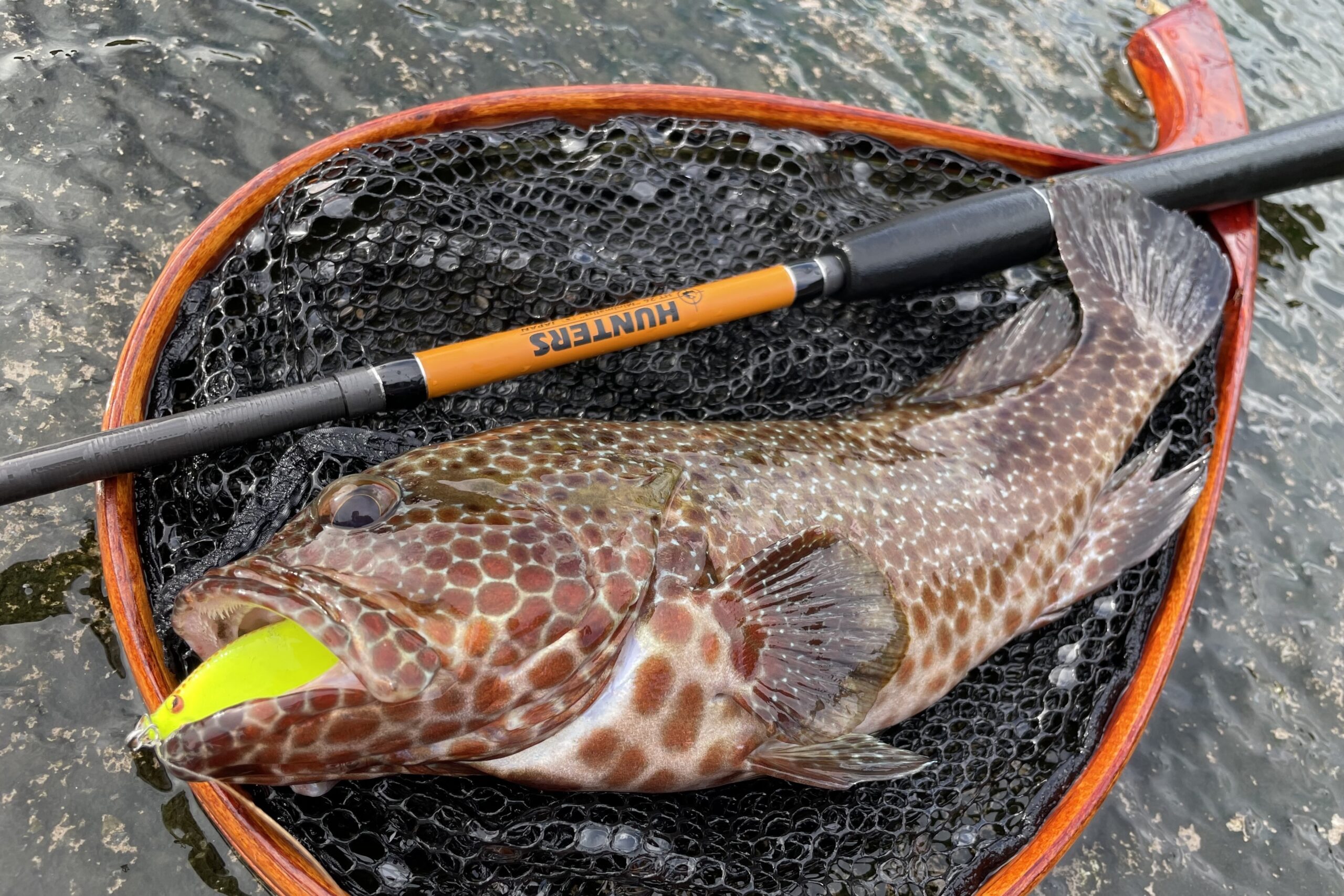 HUNTERS HT-26（第一世代） - Monster Kiss モンスターキス