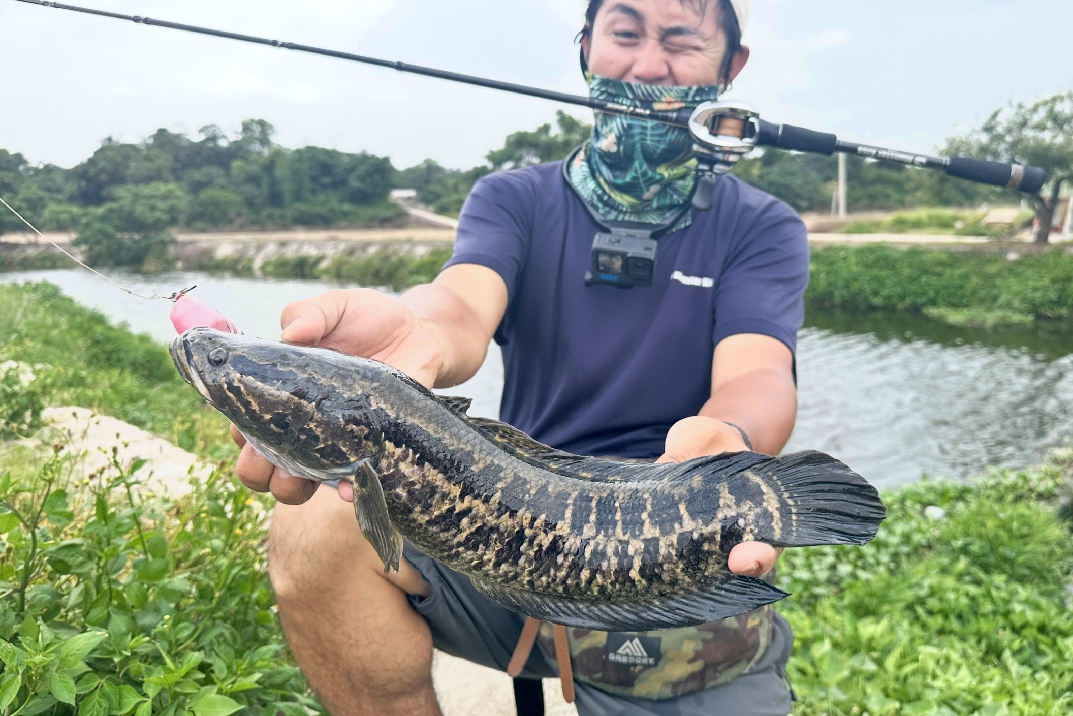 Dear Monster MZ-7 - Monster Kiss モンスターキス