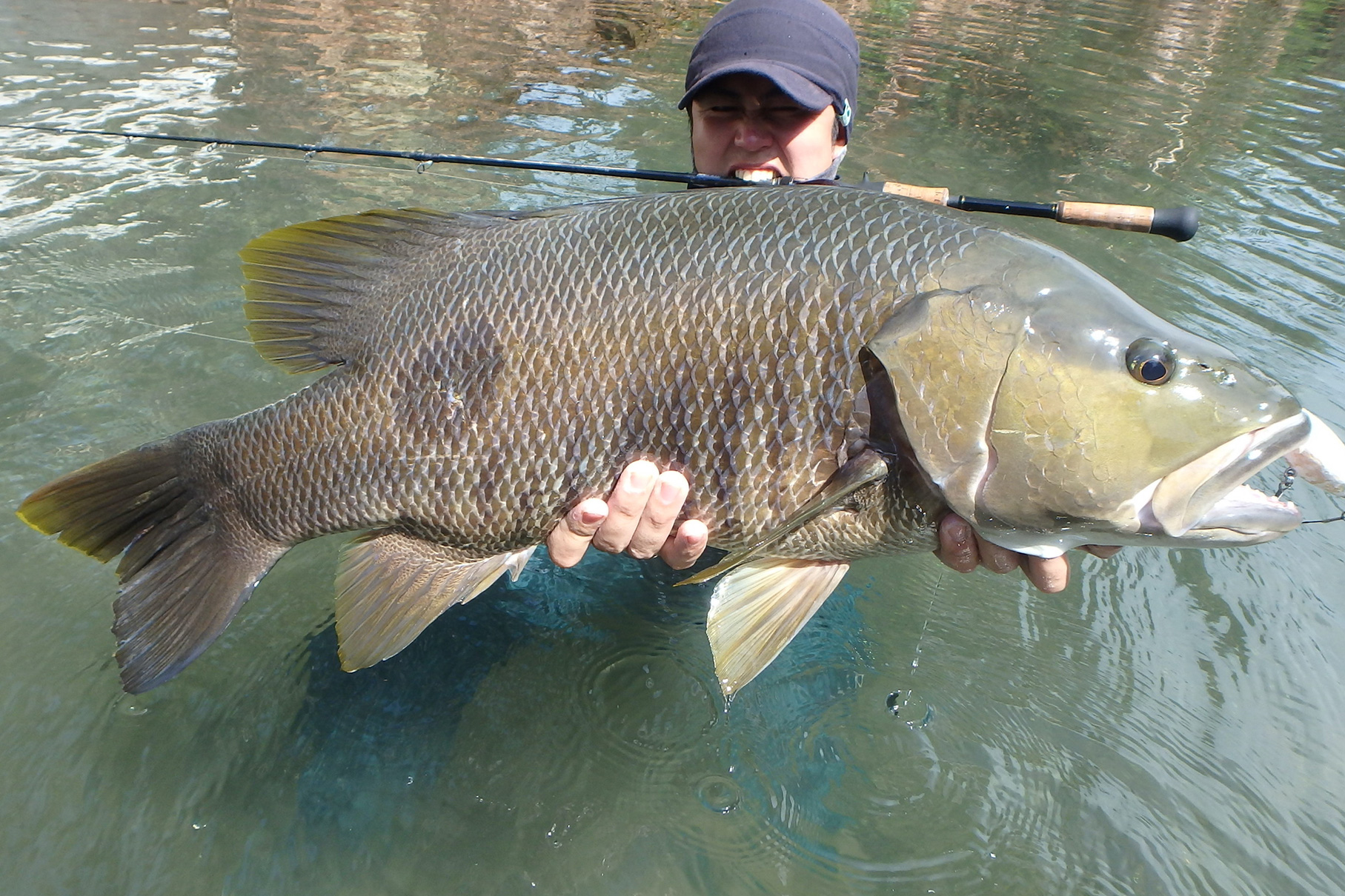 Dear Monster MX-6+ - Monster Kiss モンスターキス