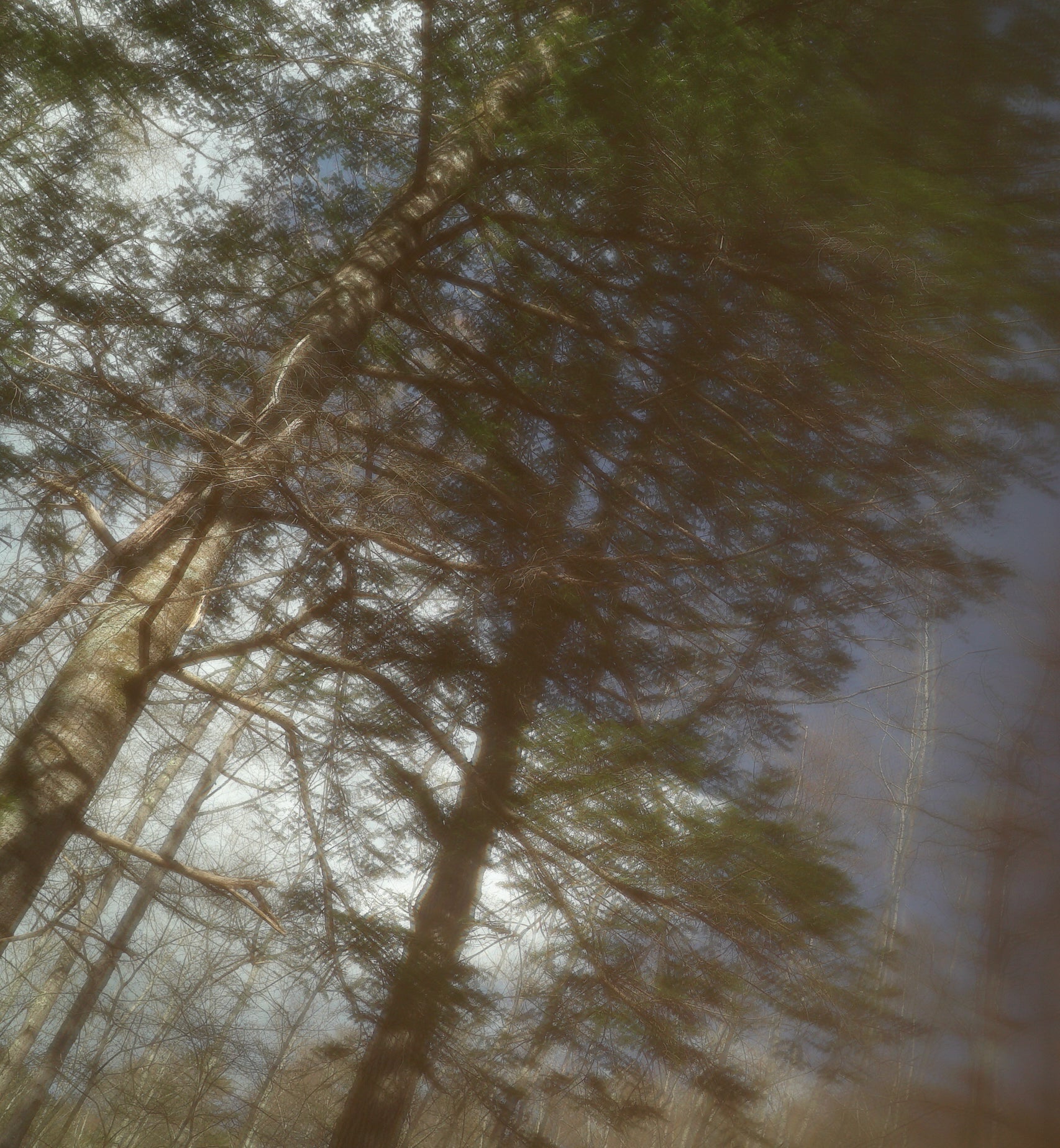 JINDAIJI MOUNTAIN WORKS × Moonlightgear / Cloud Mesh Hammock 軽Edition