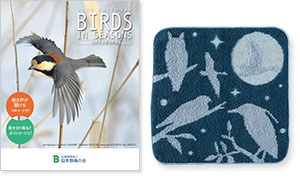 日本野鳥の会 : プレスリリース：バードウォッチングウィーク！（＊11