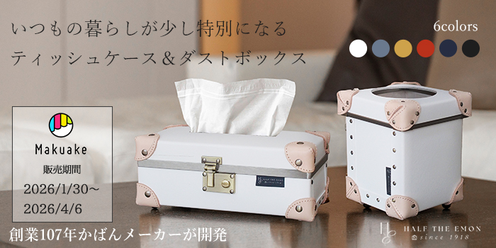 MOIERG] ジュエリーボックス アクセ アクセサリー ケース （81-55048