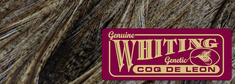 WHITING ホワイティング コックデリオン ハックル 杜の家ブルック 通販