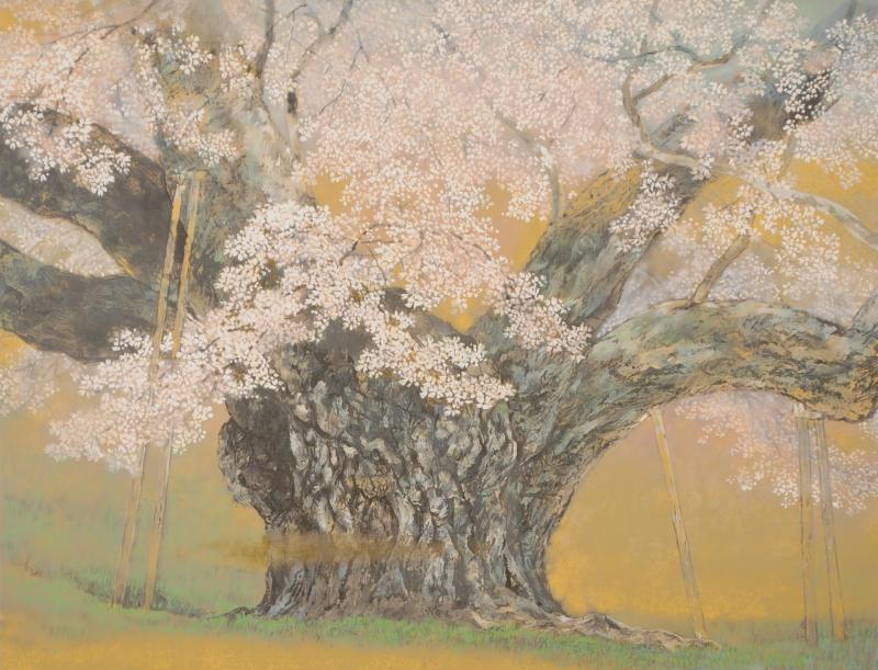 桜の絵画をリトグラフの版画で制作した伊藤嘉晃の和の桜の絵「淡墨桜
