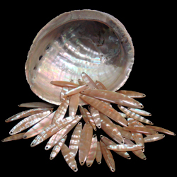 感動保存工房むらせ/シェルスプーン